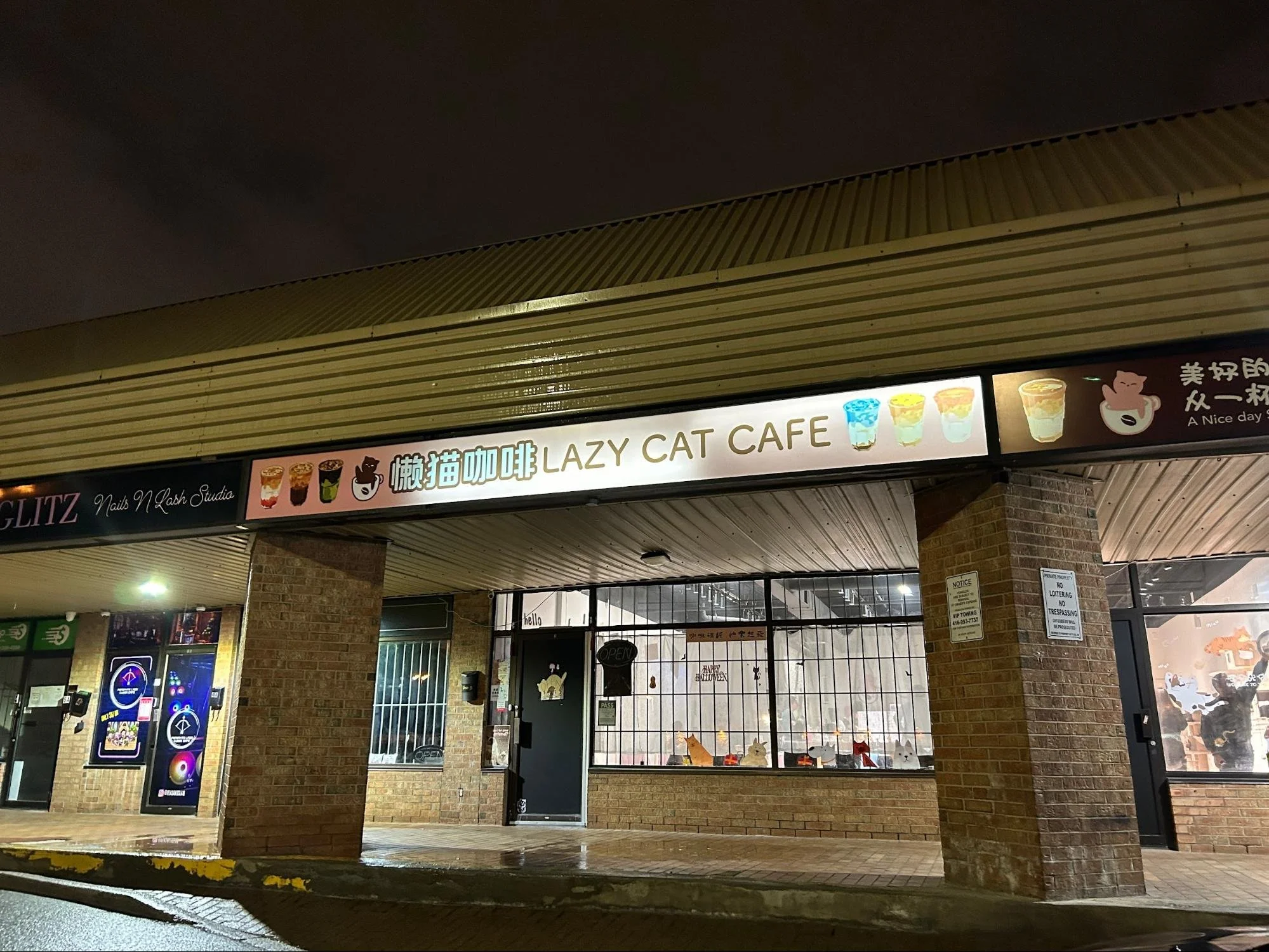 Lazy Cat Cafe The new goto destination for every cat lover — CanCulture