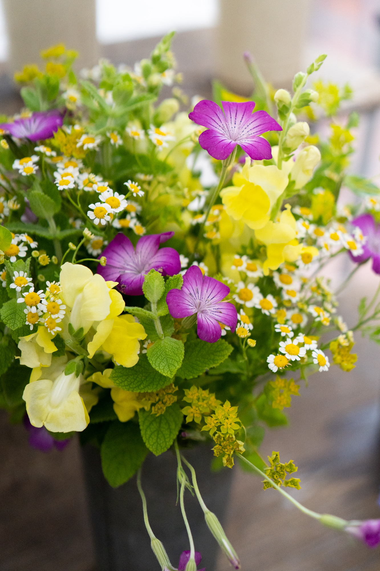 PFM_longview_flowers-1.jpg