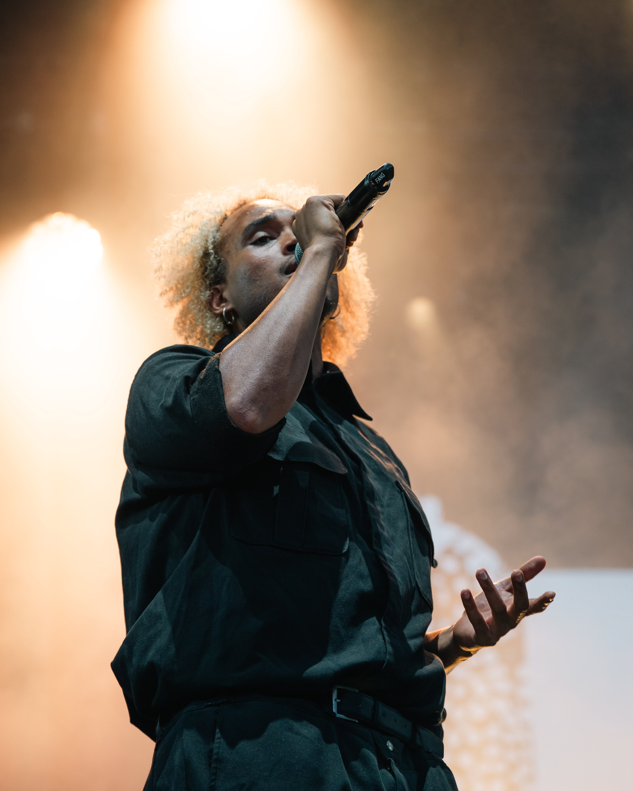 Un chanteur avec des cheveux bouclés, tenant un microphone, en train de performer sur scène avec un éclairage chaud en arrière-plan.