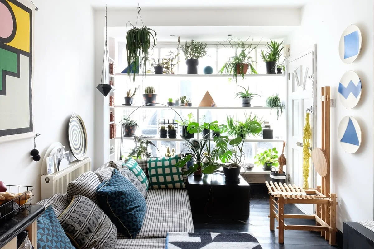 living room - window.jpeg