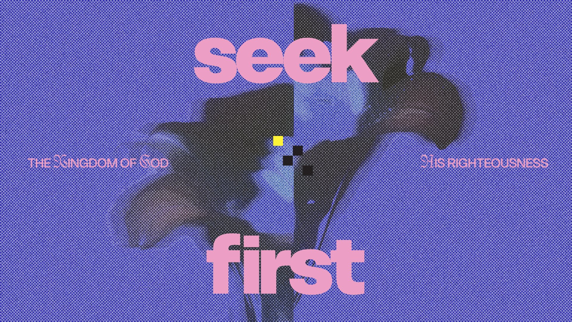 Seek First