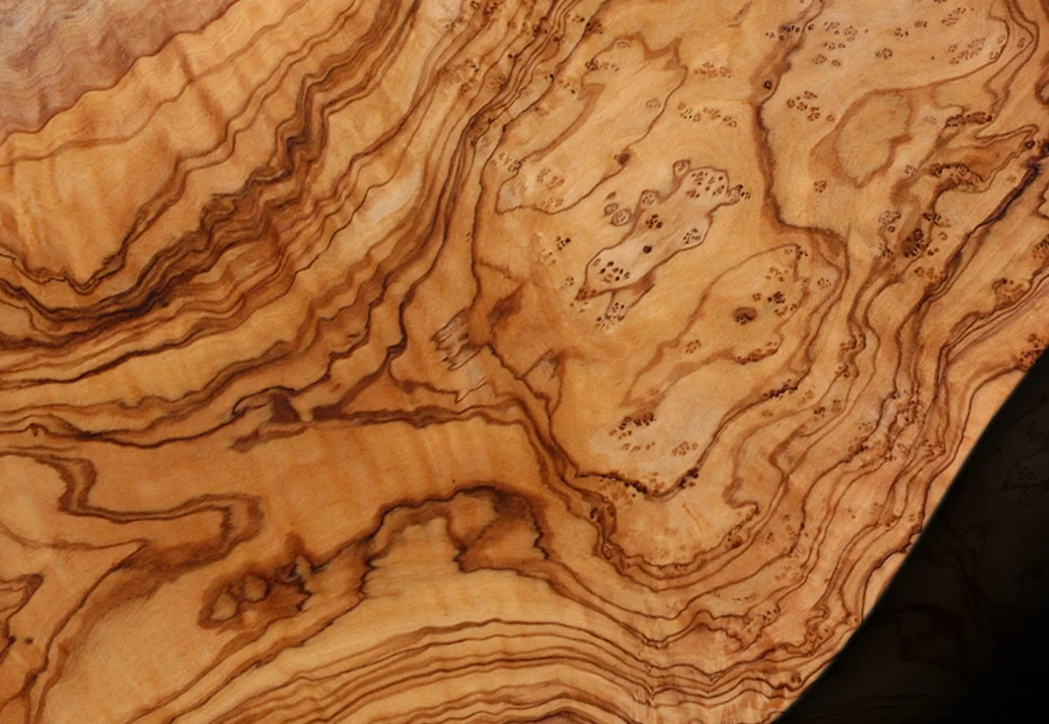 OLIVE WOOD MOOD2.jpg