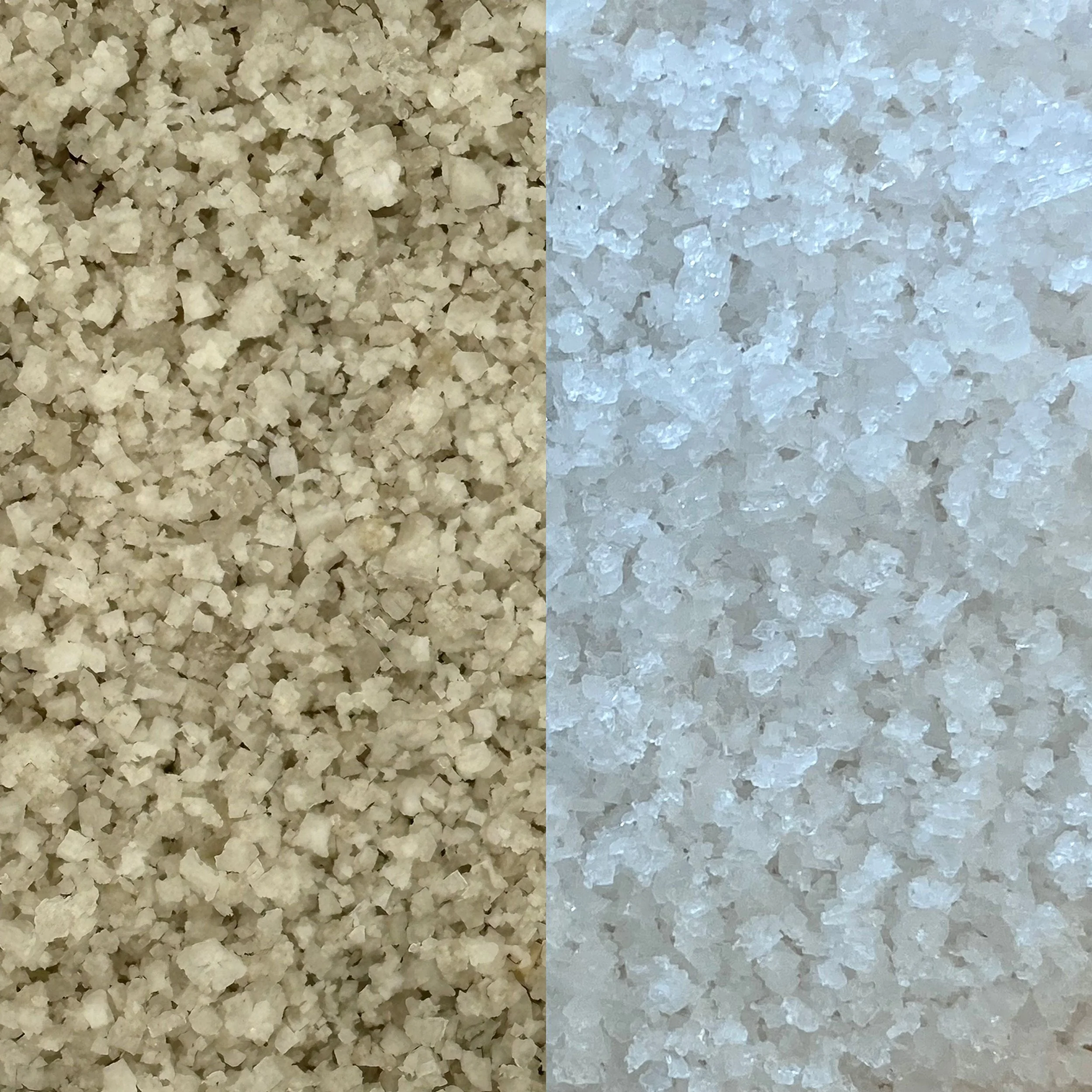 Design sans titre (2).jpg