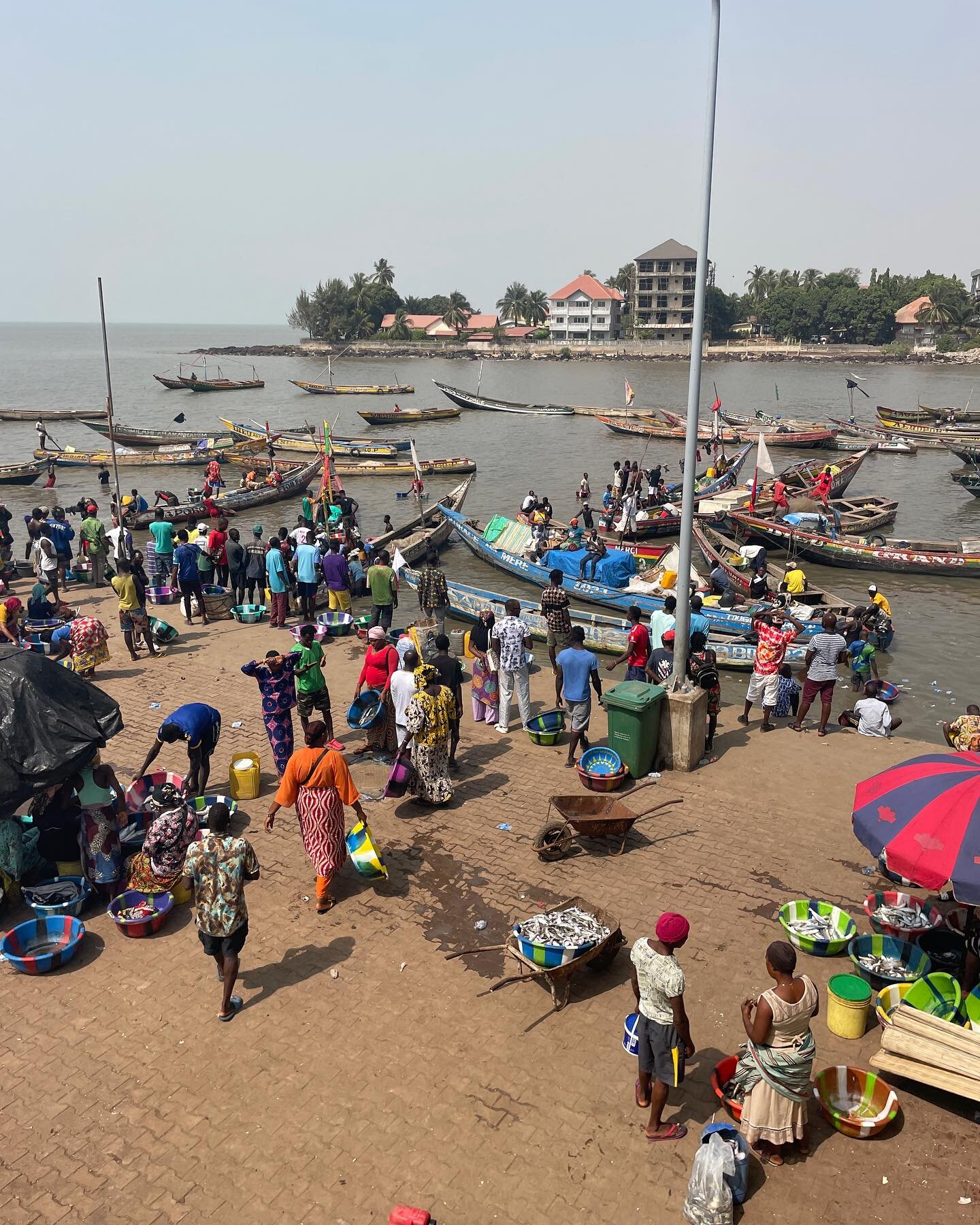 Mission en Guin&eacute;e pour le sel solaire 
avec @ma_charente_maritime 
1er volet : La commercialisation :
Ports de p&ecirc;che, mareyeurs, grossistes, sup&eacute;rettes&hellip;.. @bertrandcaccia Abdoulaye Keita, @louis.gros.sel