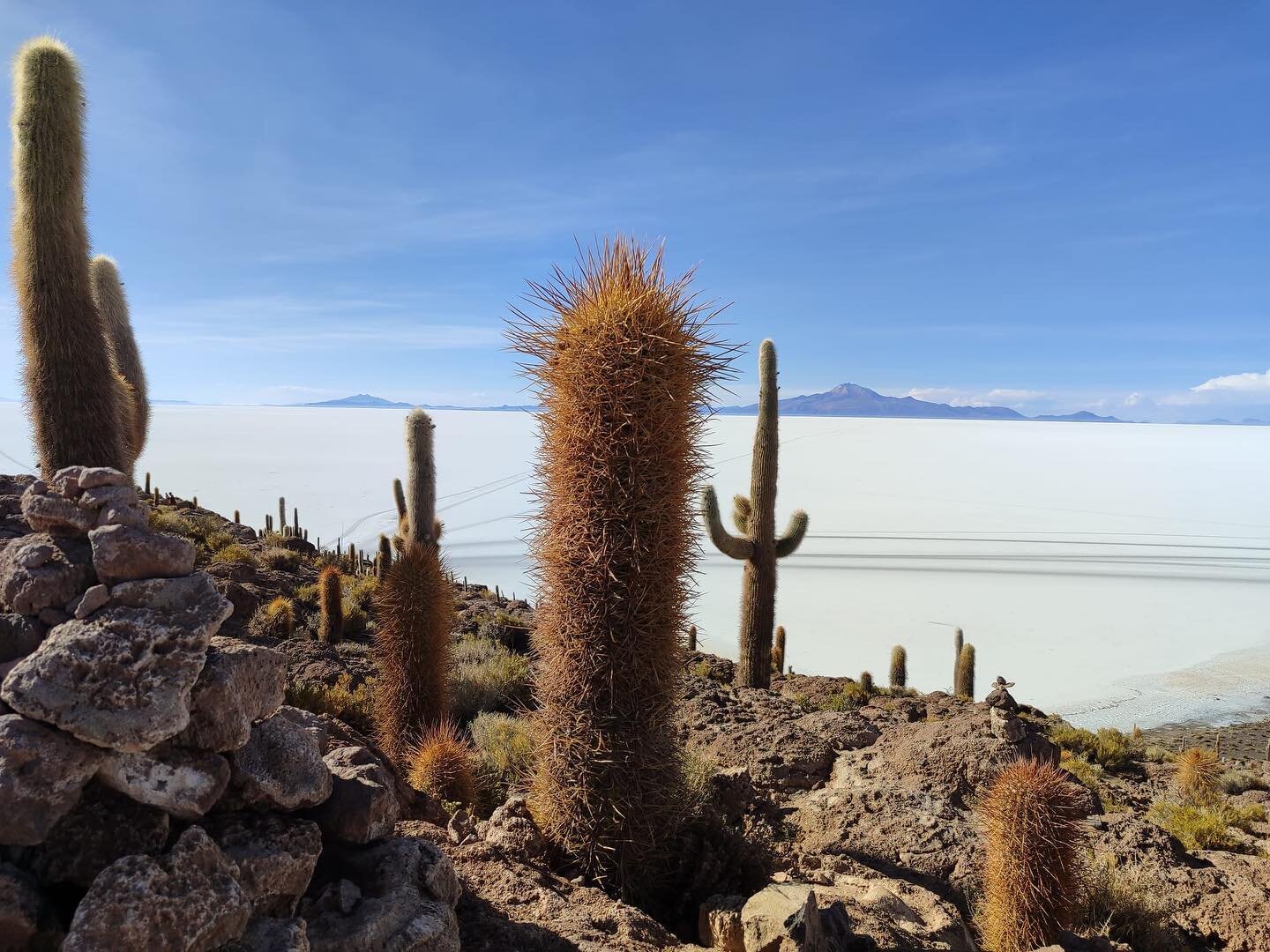 Encore un site incroyable !Le salar d&rsquo;Uyuni: Situ&eacute; sur les hauts plateaux du sud-ouest de la Bolivie. 
La disparition du lac pr&eacute;historique Tauca,
14 000 ans auparavant, a donn&eacute; naissance &agrave; ce salar. Cette &eacute;ten
