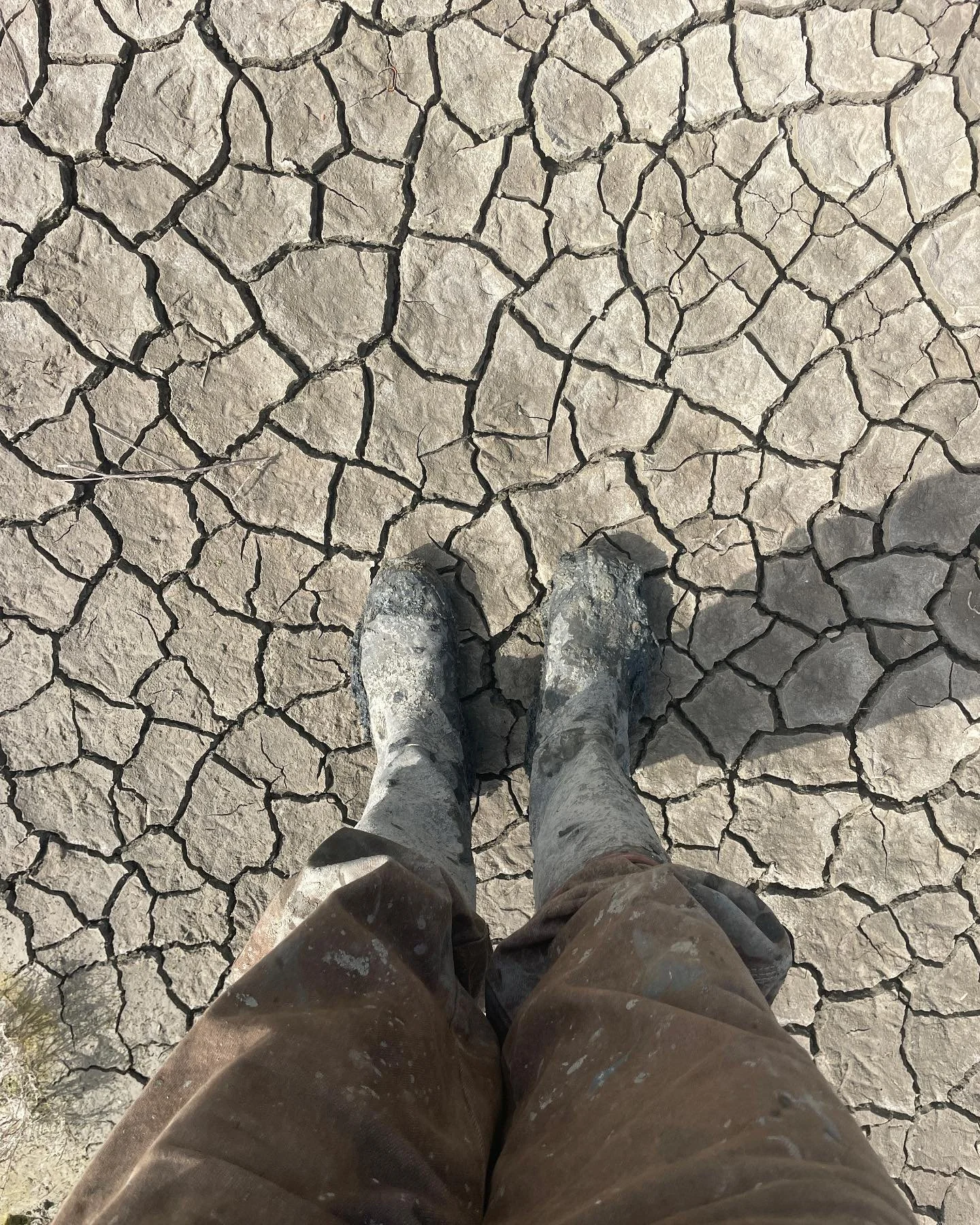 Le d&eacute;sert, celui des marais salants sur l&rsquo;&icirc;le de r&eacute;.  Chaque ann&eacute;e &agrave; la sortie de l&rsquo;hiver, l&rsquo;heure est &agrave; la remise en &eacute;tat du marais salant . Il faut nettoyer et laisser gr&acirc;ler (
