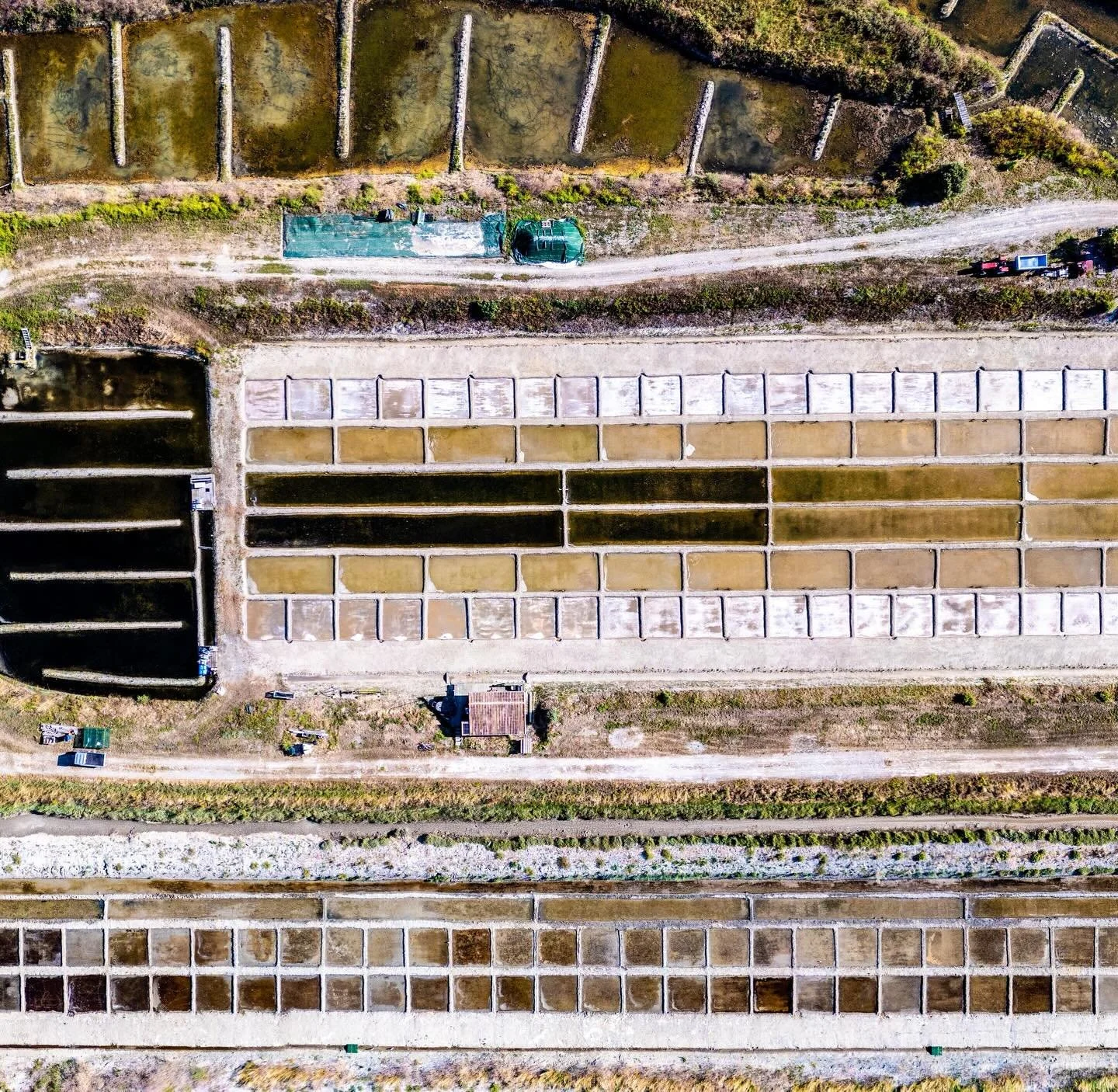A partir du 08 ao&ucirc;t  et tous les jours de l&rsquo;&eacute;t&eacute; &agrave; 11h30, je propose une visite du marais salant picksel d&rsquo;environ 45min. 
R&eacute;servation sur le site pick-sel.com et  iledere.com

Je vous explique :

Les &eac