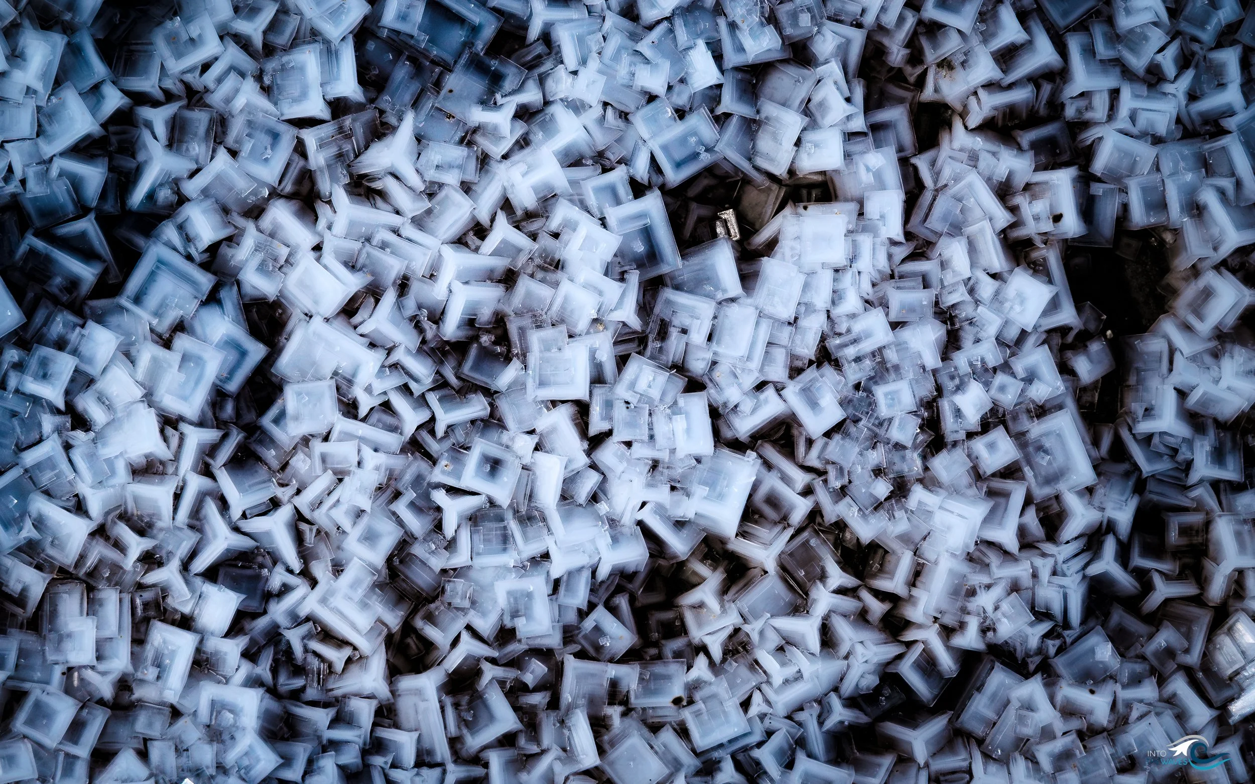 DSC04933-Avec accentuation-Bruit.jpg