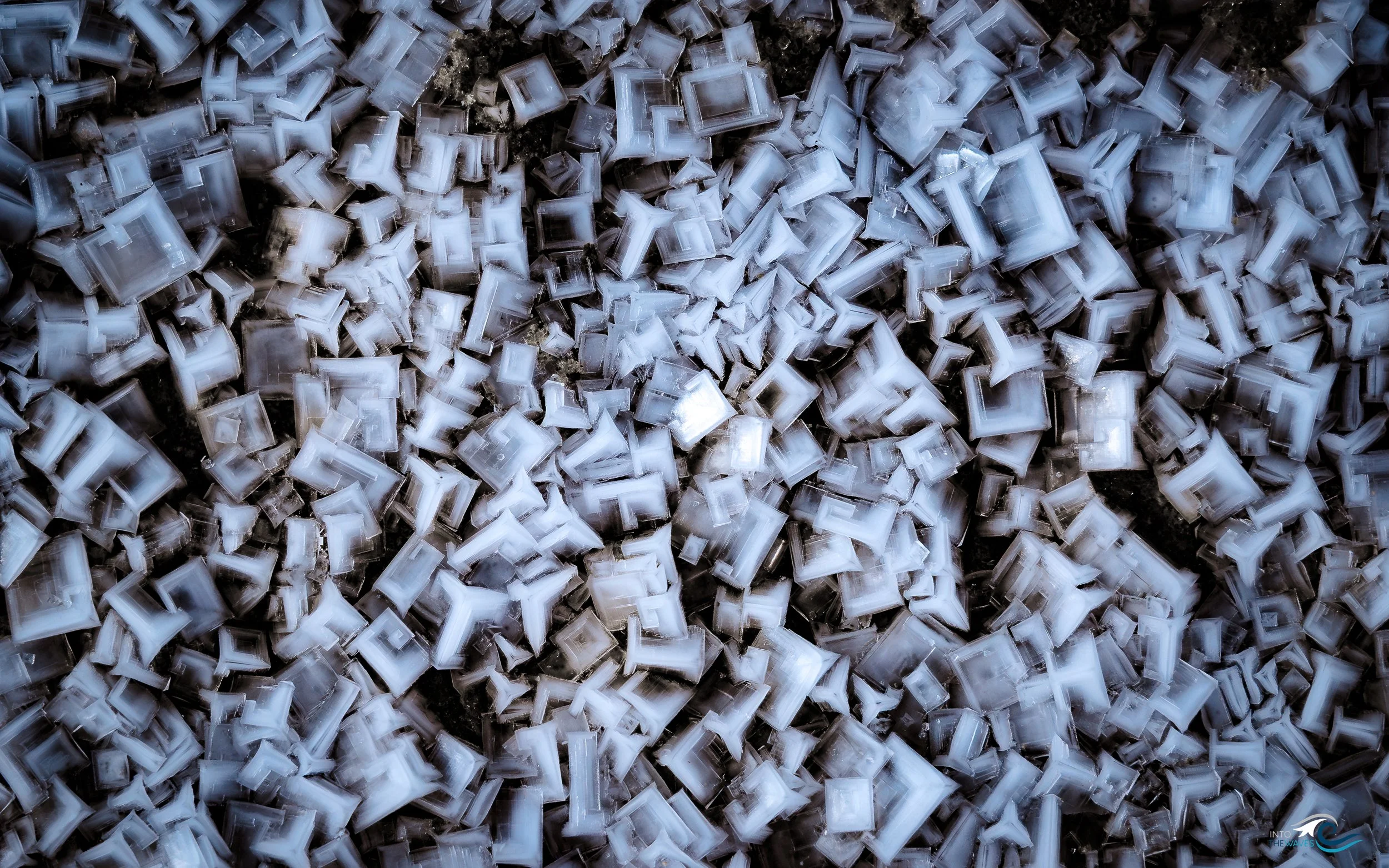 DSC04931-Avec accentuation-Bruit.jpg