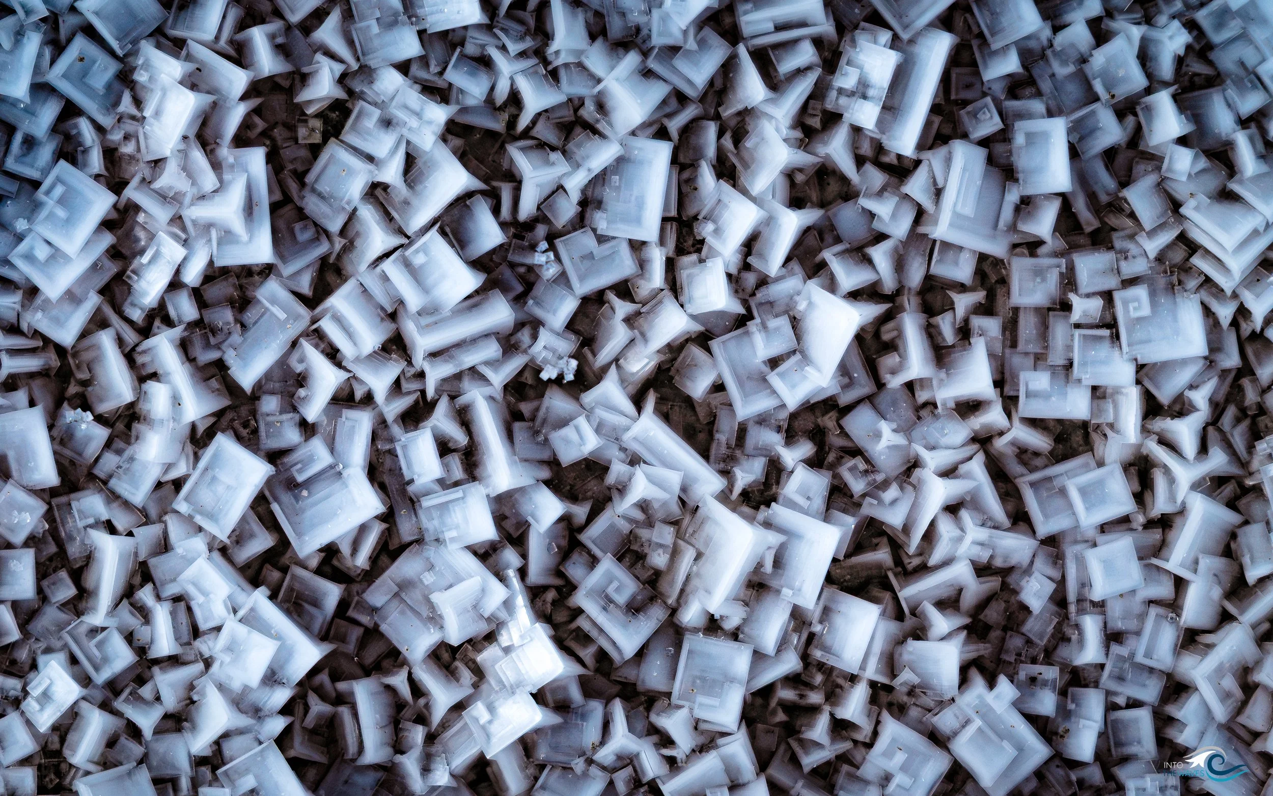 DSC04939-Avec accentuation-Bruit.jpg