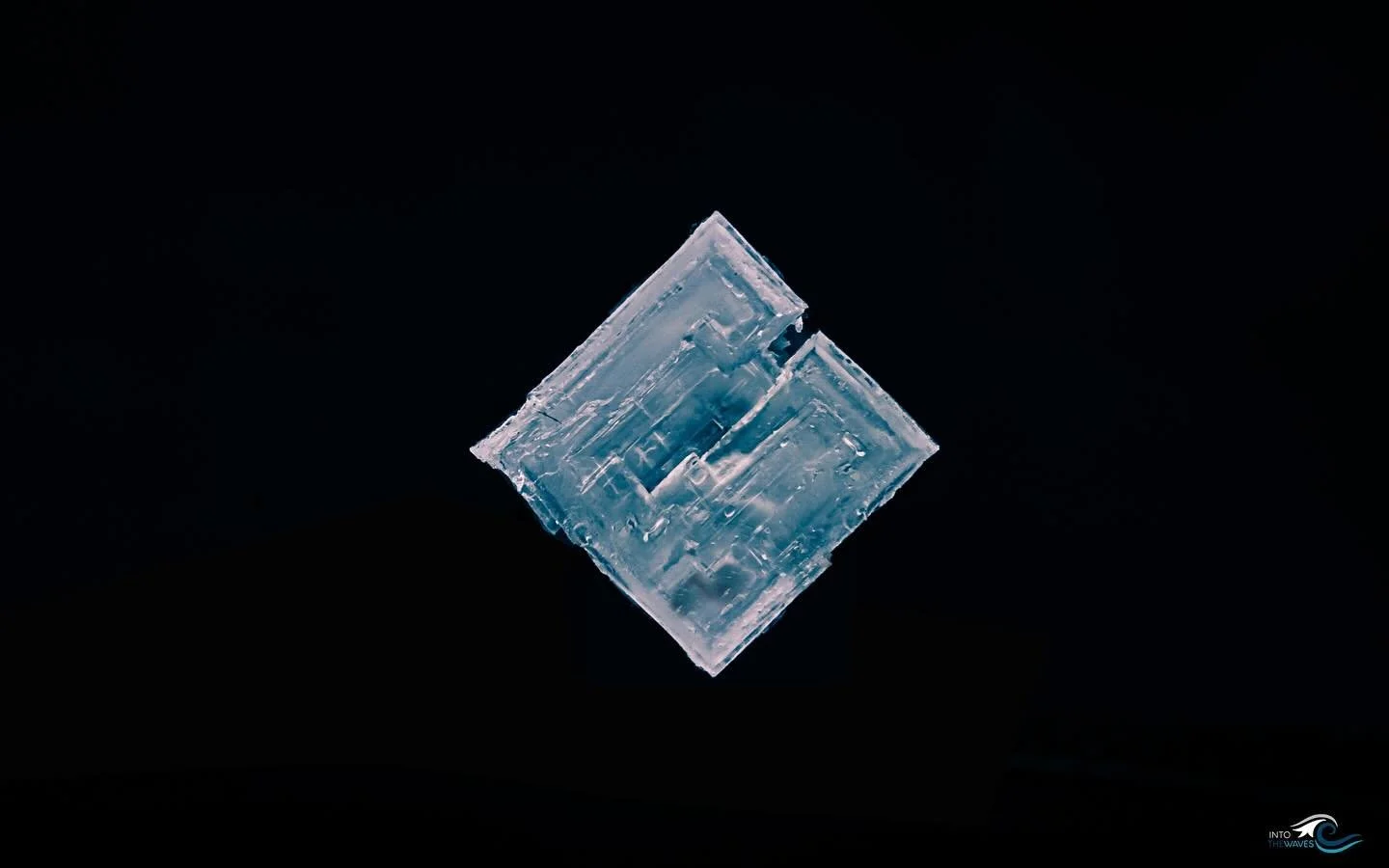 La fleur de sel :
Chaque ann&eacute;e, sous l&rsquo;effet de conditions environnementales sp&eacute;cifiques, un ph&eacute;nom&egrave;ne de cristallisation unique se produit &agrave; la surface du marais salant: la formation de la fleur de sel. 

Ce 