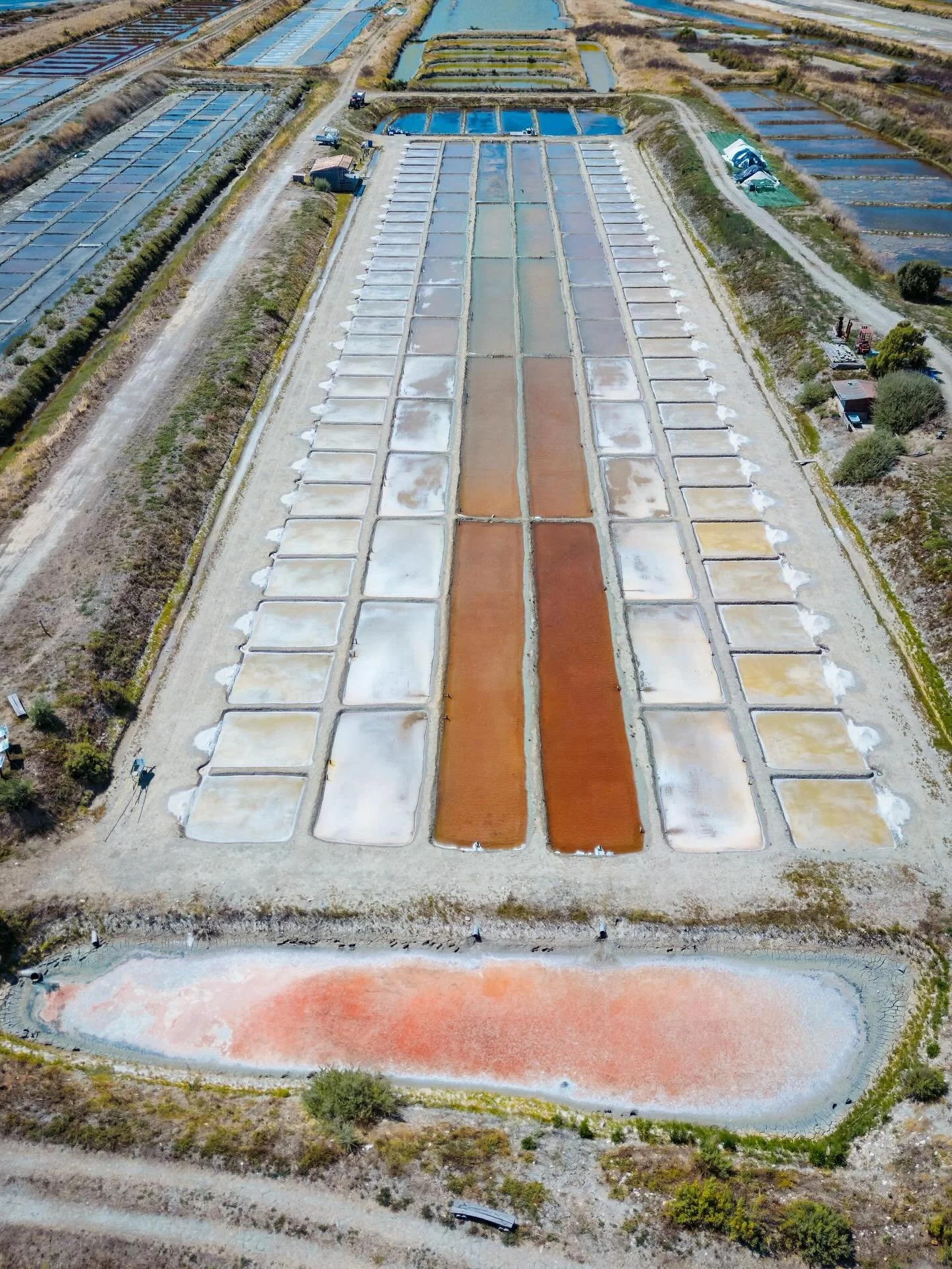 Dunaliella salina 

Lorsque le marais salant  d&eacute;passe un certain seuil de salinit&eacute; (g&eacute;n&eacute;ralement autour de 250 &agrave; 300 g/L) l&rsquo;eau se colore de teintes rouges 
Il est enti&egrave;rement d&ucirc; &agrave; une micr