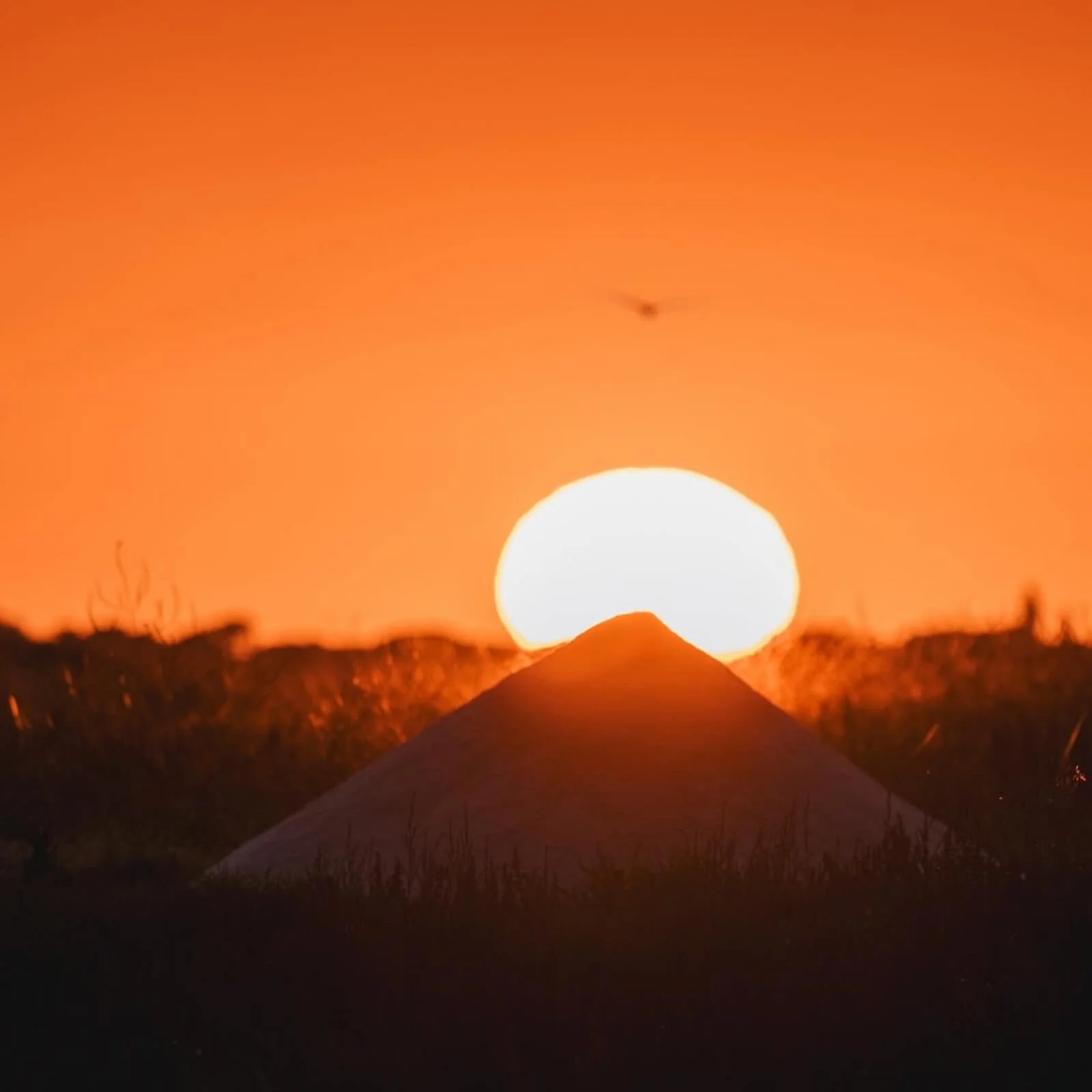 La saison 2026 est bien lanc&eacute;e !!! Depuis un mois maintenant 
Merci encore dame nature pour ce spectacle
Et mister @gaelcontal_intothewaves  pour son &oelig;il aiguis&eacute; 🥰

#salt #sunset #ileder&eacute; #lacouardesurmer #nature
