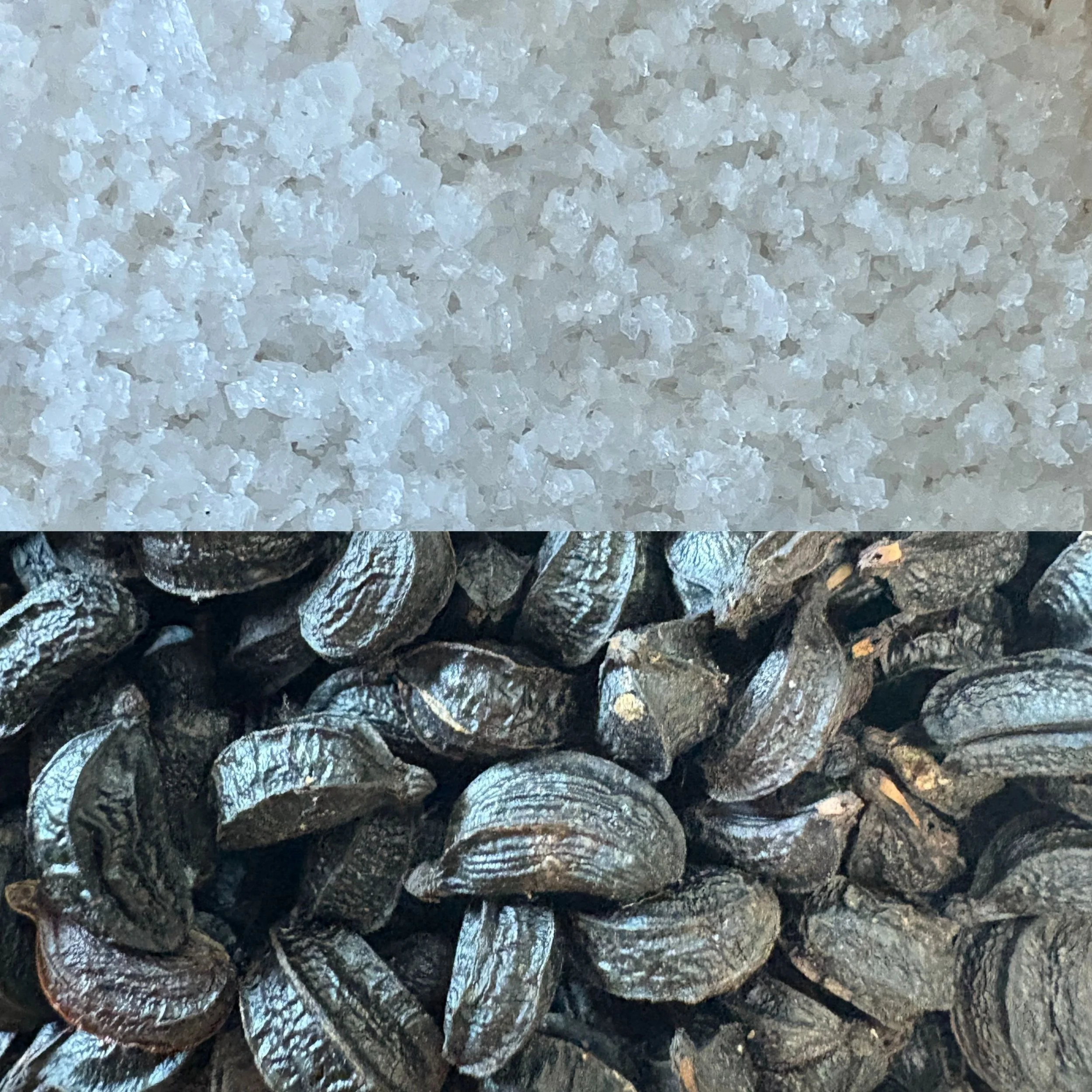 Design sans titre (2).jpg