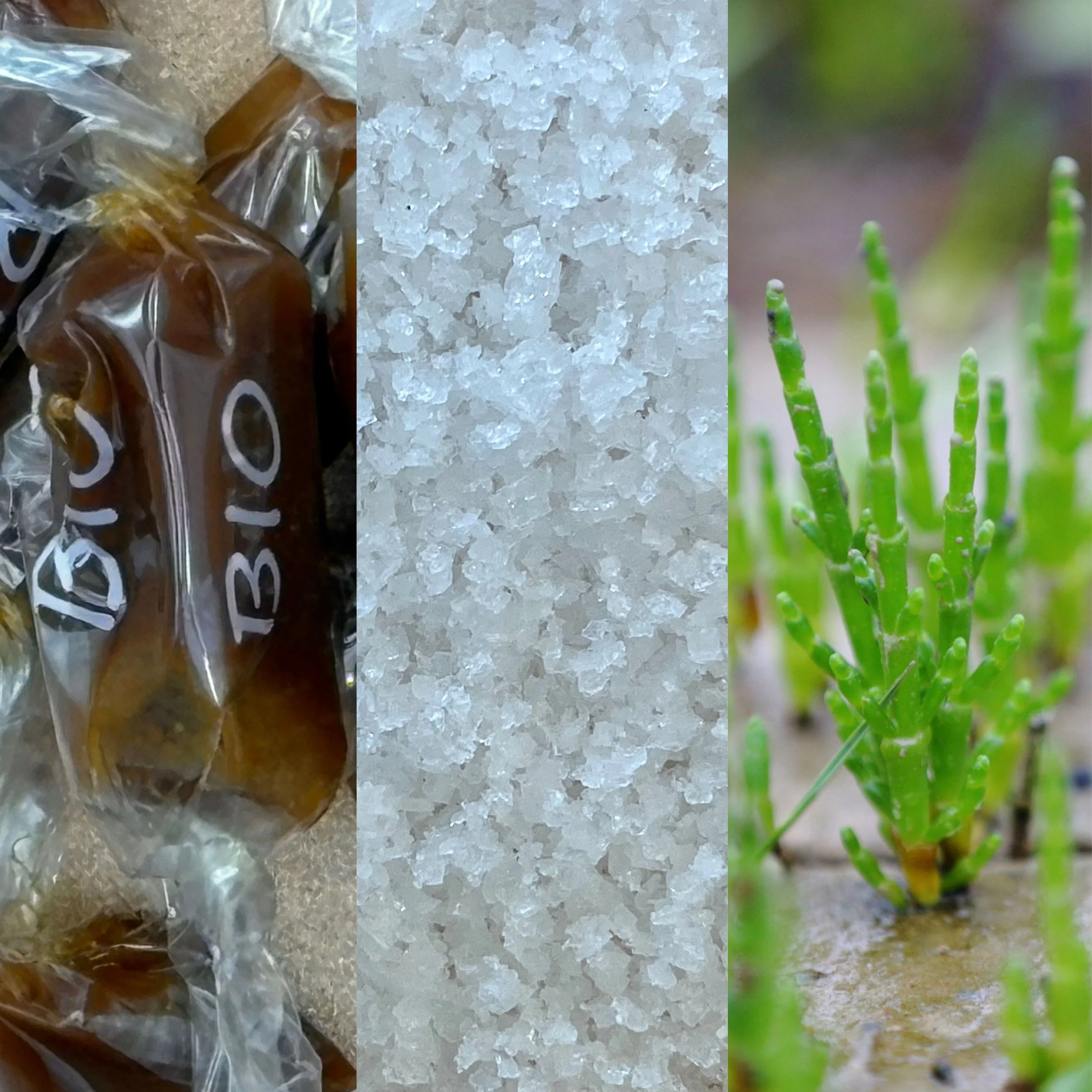 Design sans titre (3).jpg