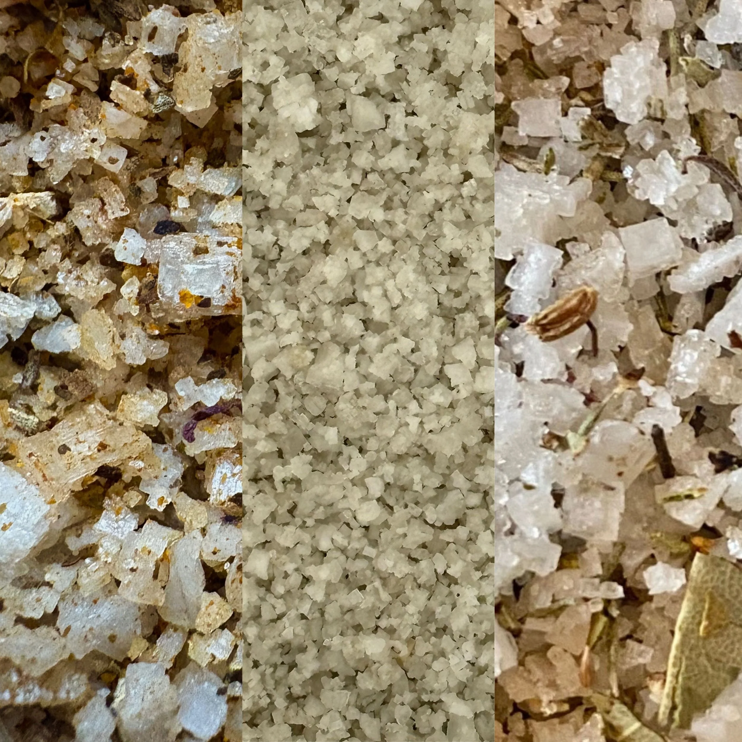 Design sans titre (5).jpg