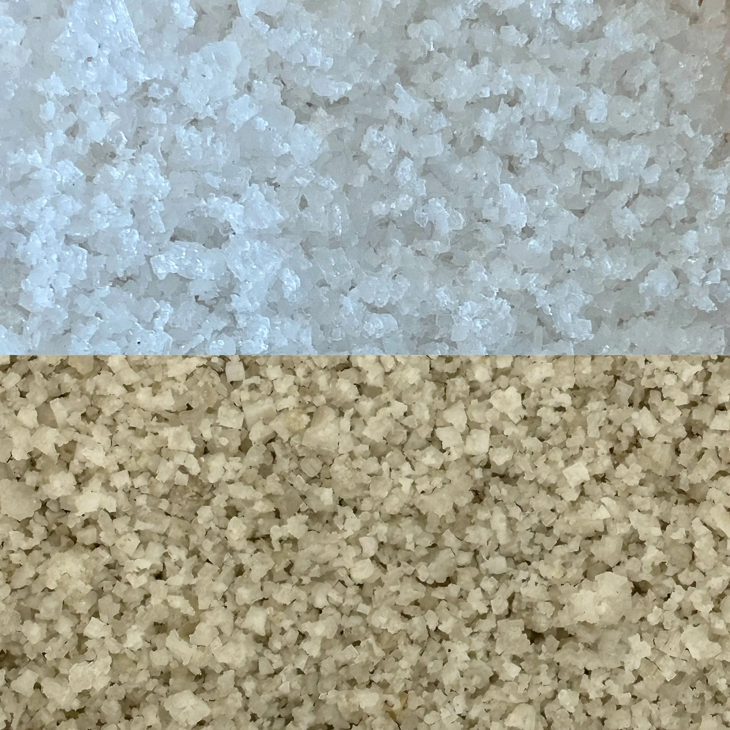 Design sans titre (6).jpg