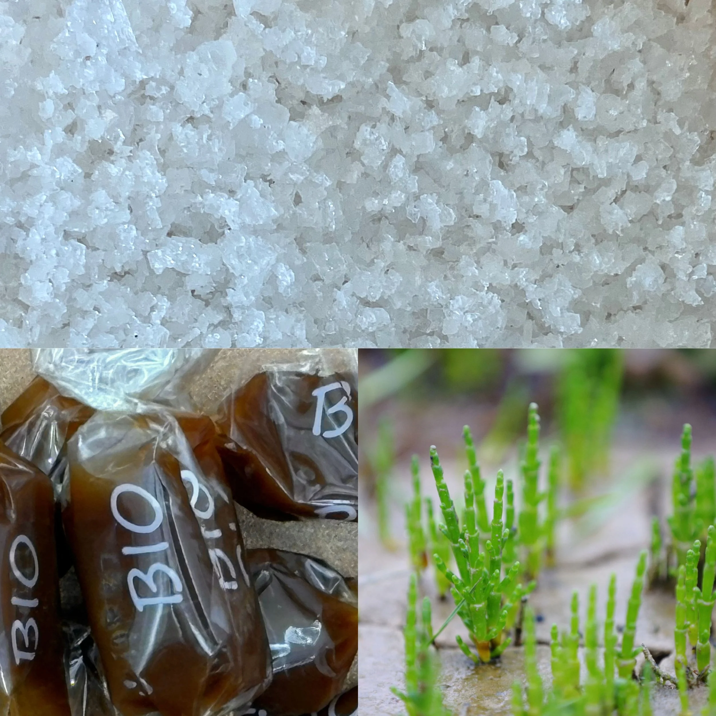 Design sans titre (5).jpg