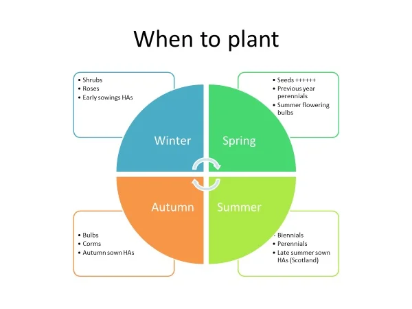 A Year of Planting.jpg