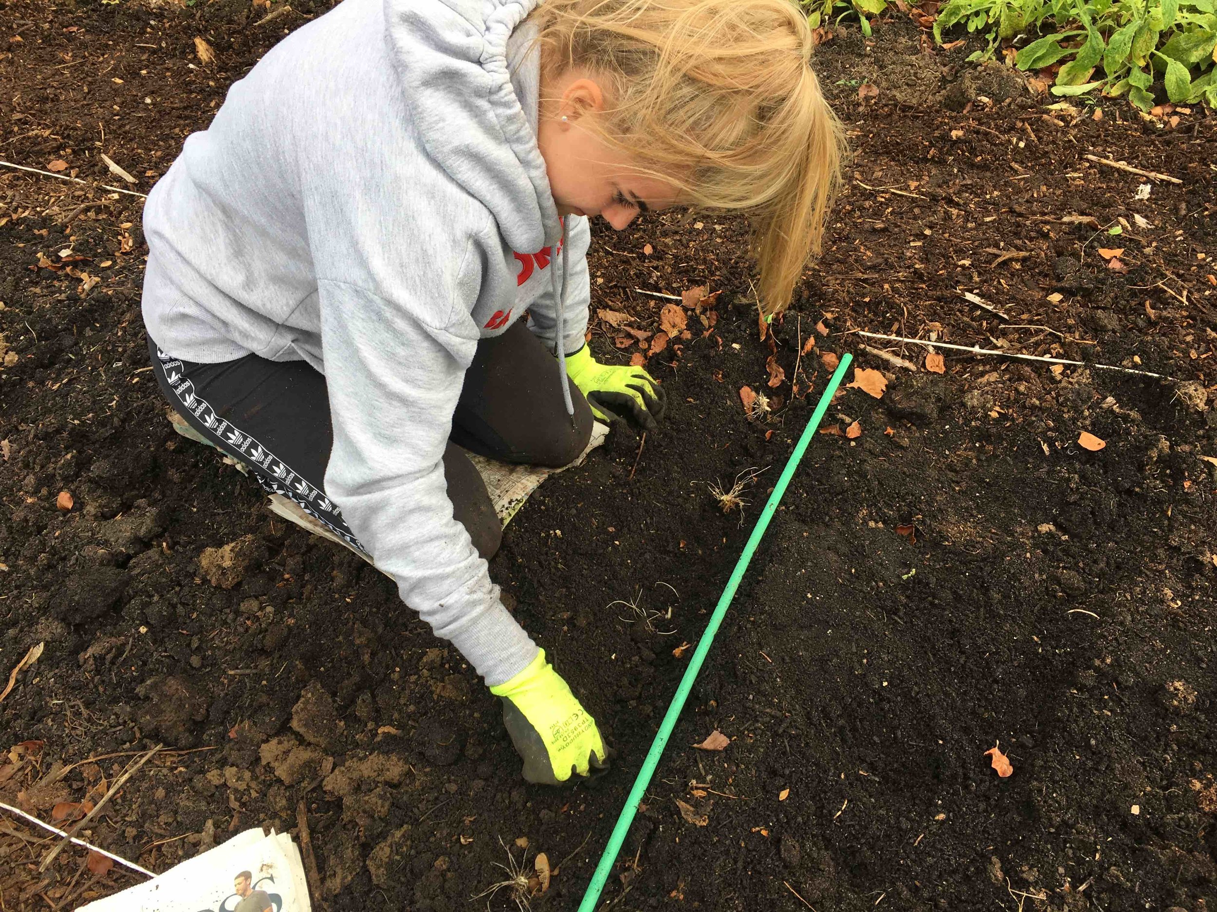 Emma planting ranunculus.jpg