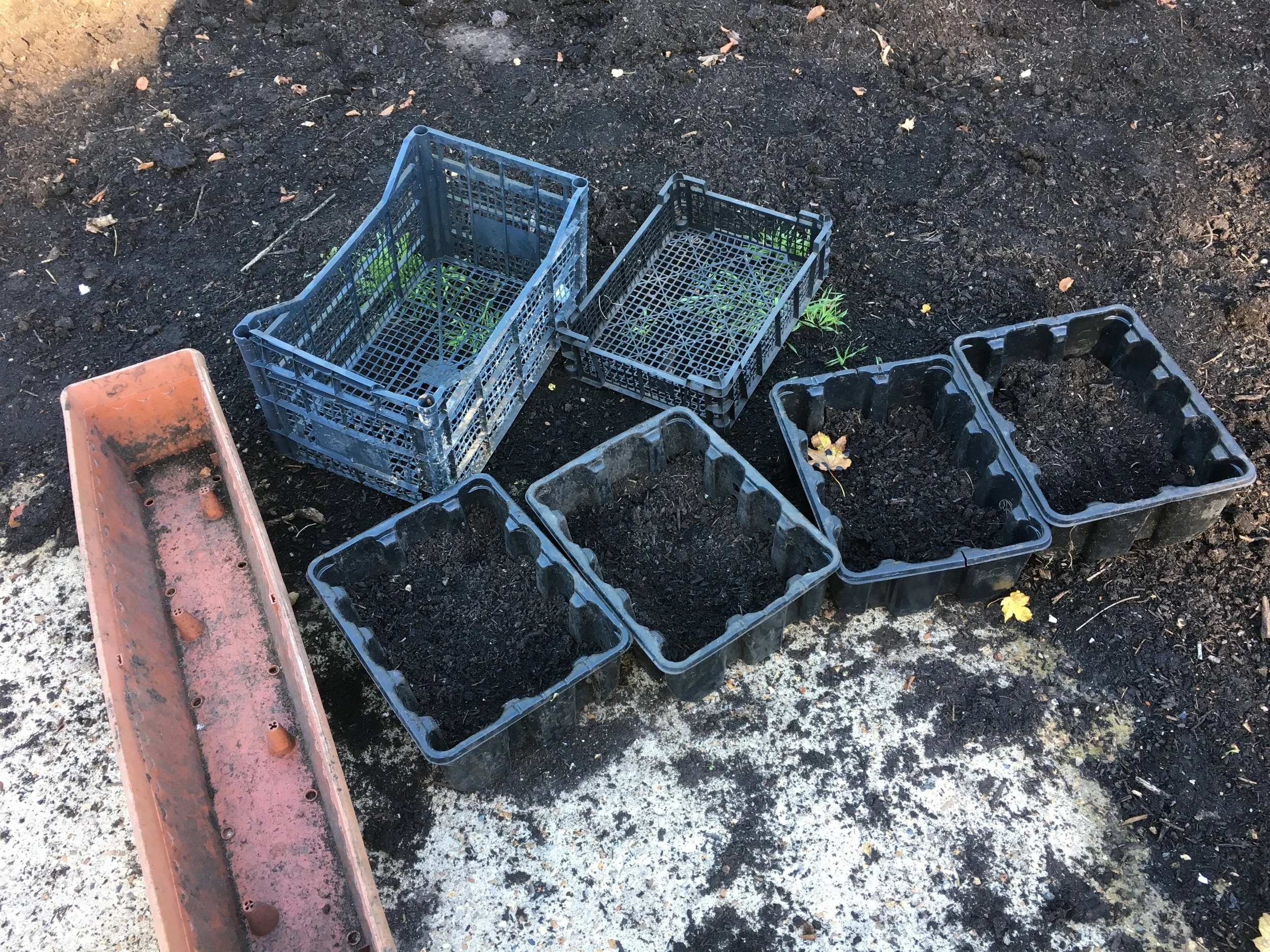 planting crates.jpg