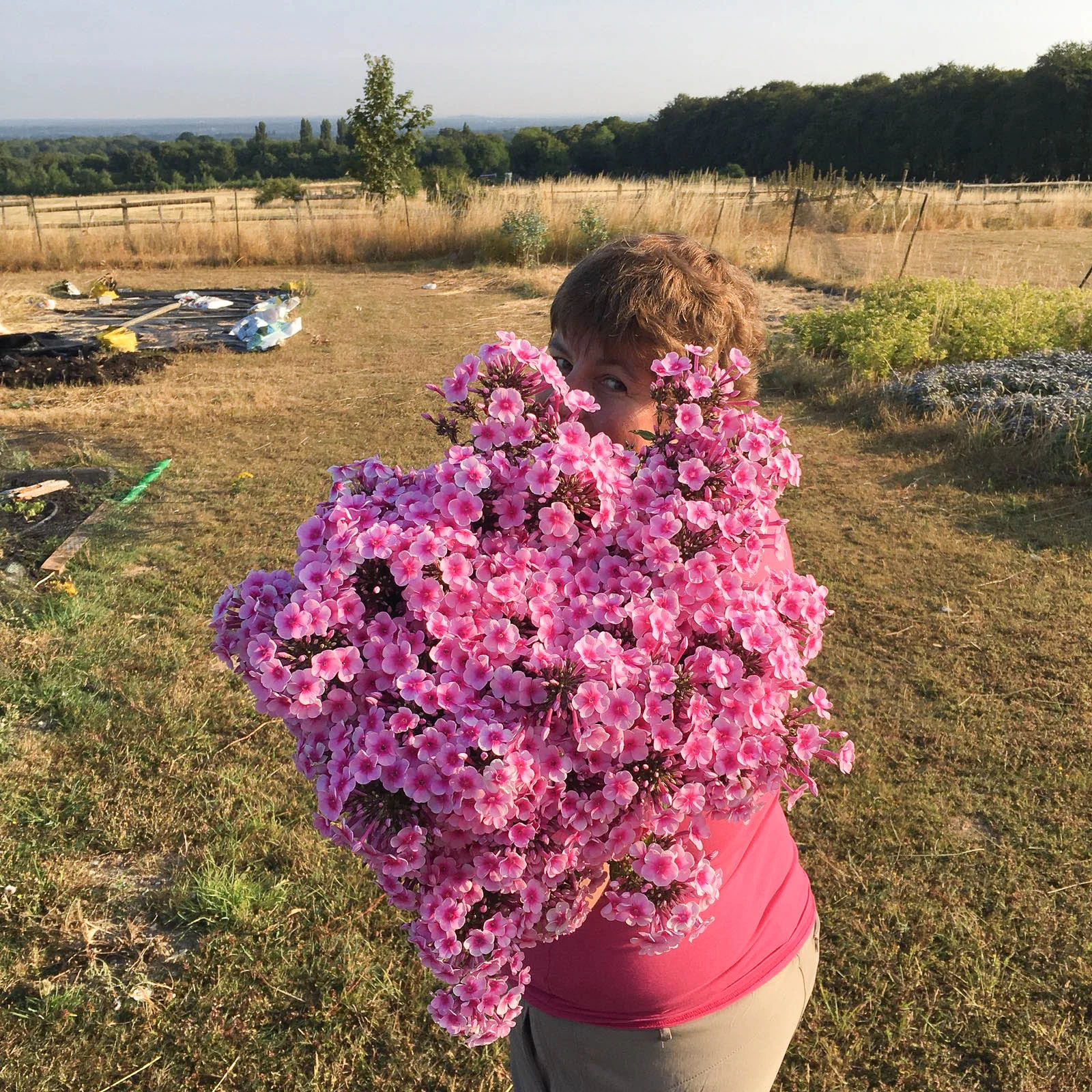 claire with phlox.jpg