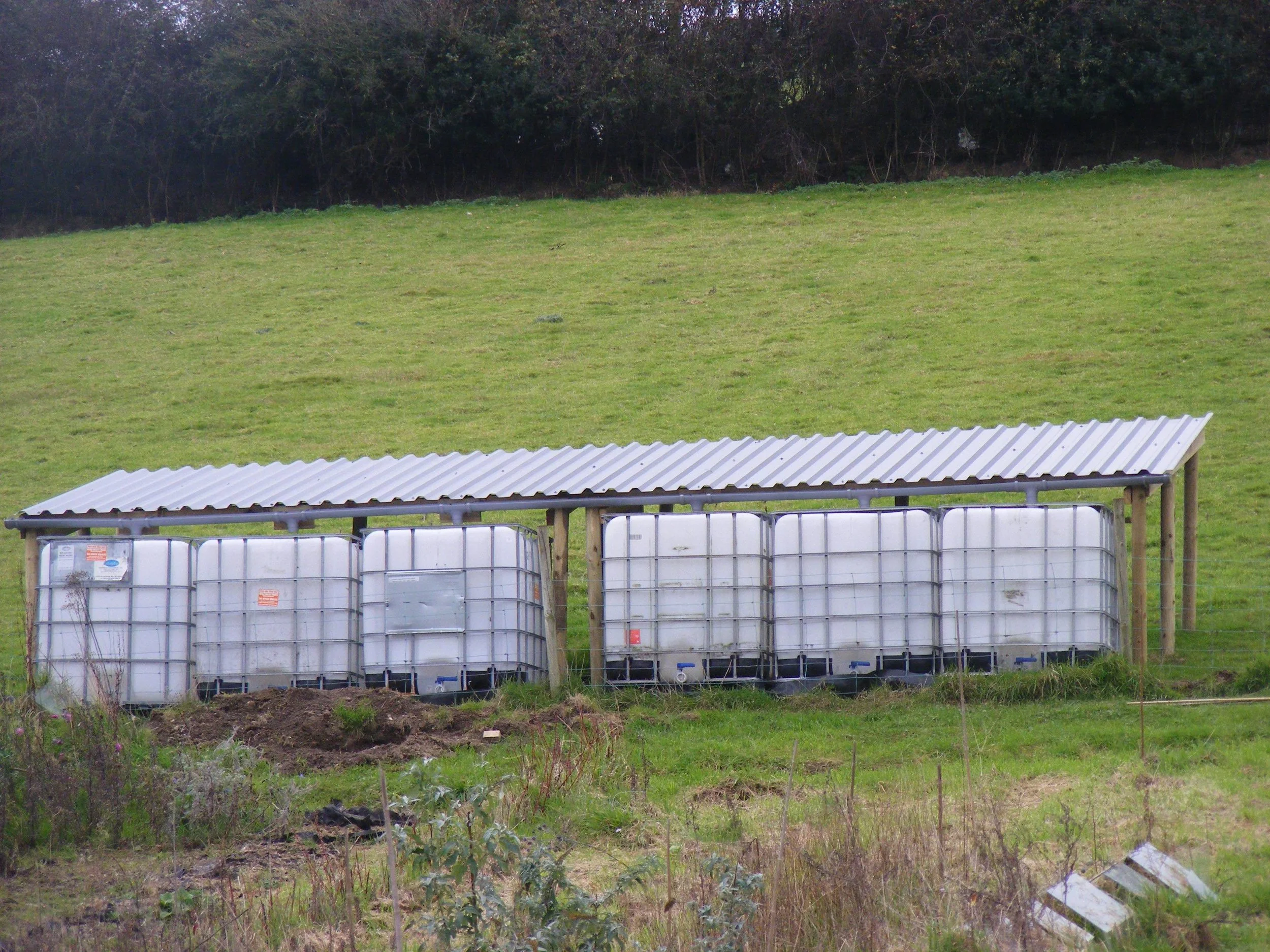 Thank you to Pat Cottam of the Forgotten Garden, who's sent us this picture of her ingenious water collection device. She says " The biggest problem with these is that they have to be high enough to give you pressure with the drop. We have since put more higher up the field to feed grapes and another tunnel which I use on a daily basis (still no spring water). All the tanks are left open with a pipe at the base attached to all but with a main on off lever. I have a very long hose to fit and can attach pumps also. Also makes a very good sheep shelter! KR Patx