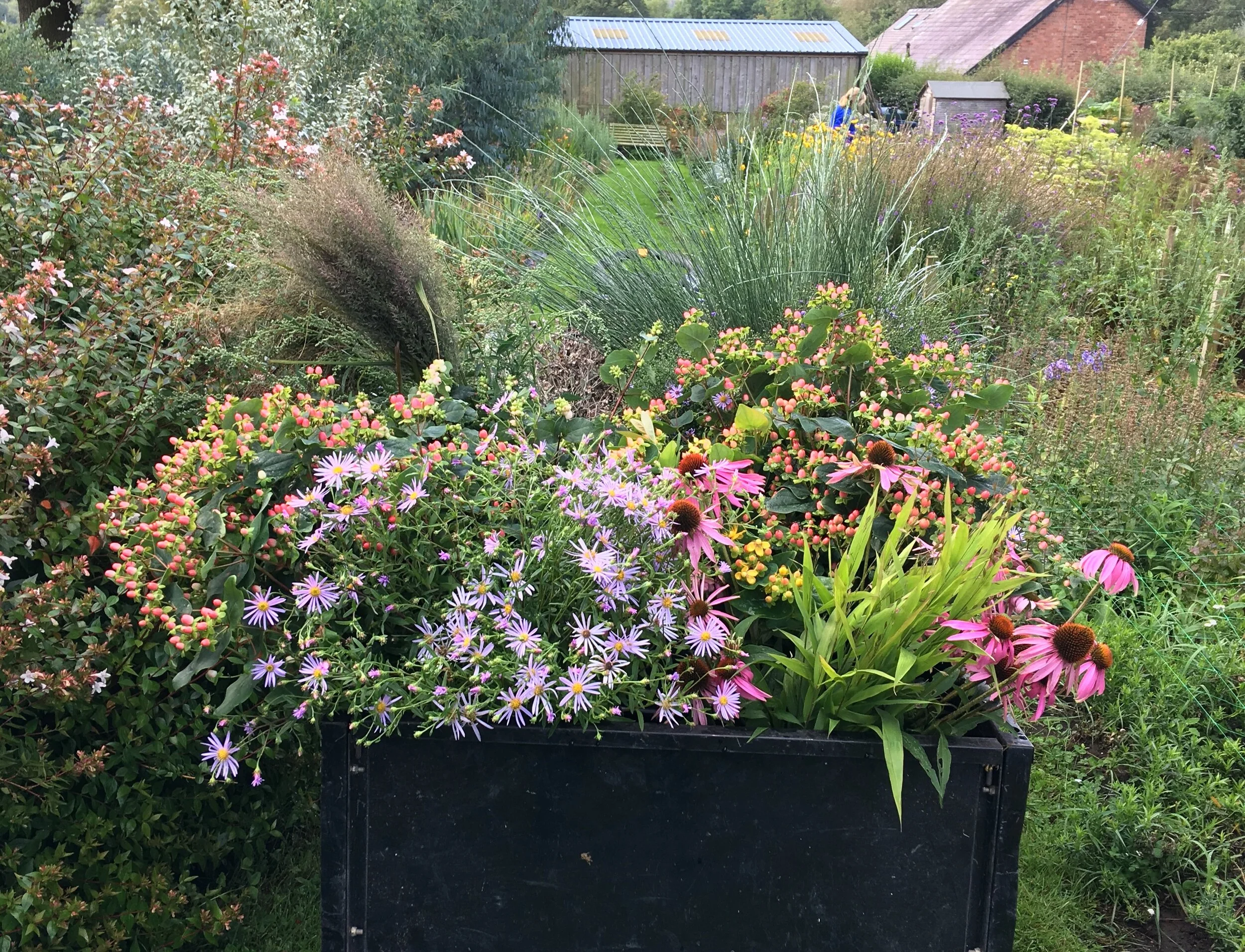 Another trailer full of flowers - packing ordinary florists buckets into a closed trailer so they won’t fall over.