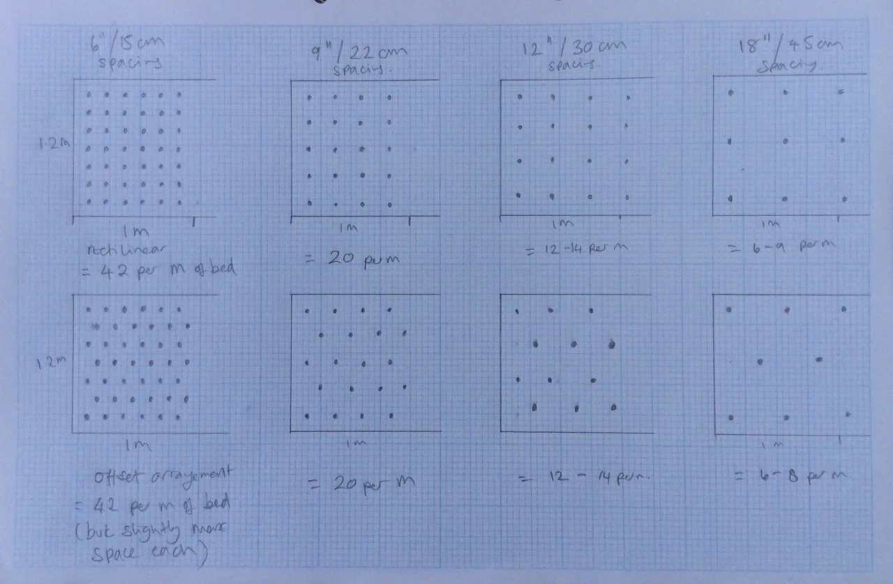 You will notice that I’ve done two different layouts for each bed. The linear square grid pattern is sometimes easier to manage, but the offset staggered pattern makes better use of space.