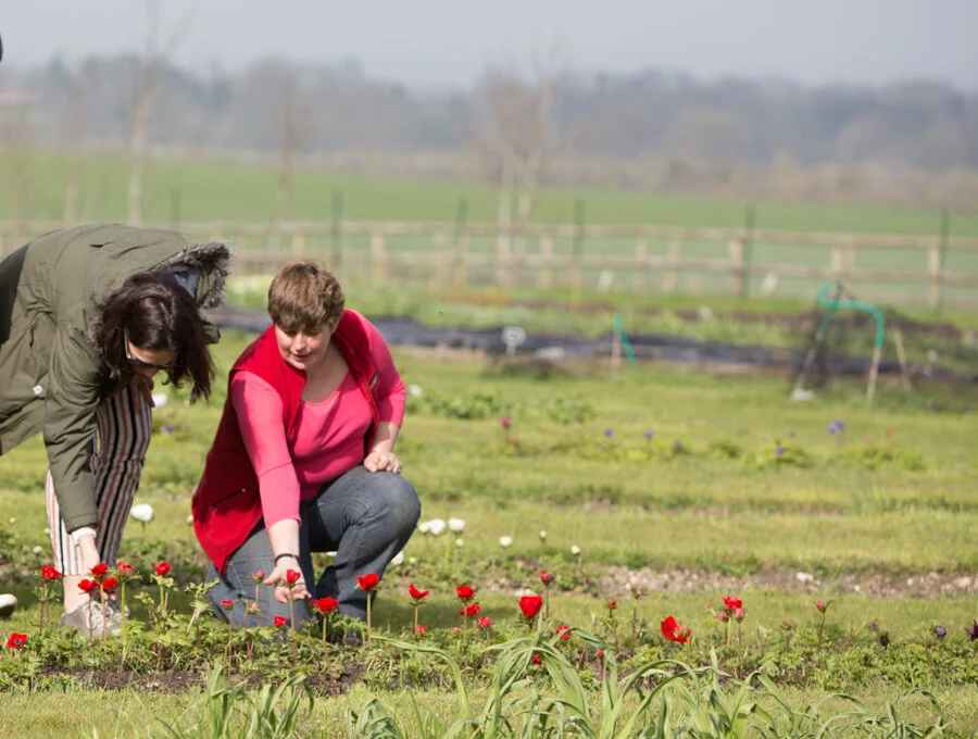 Claire showing florist customers her flowers