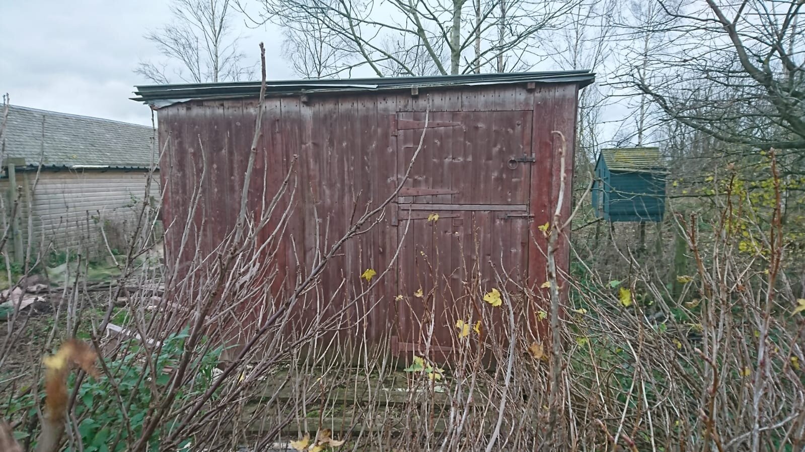 Shed before with door inaccessible.jpg