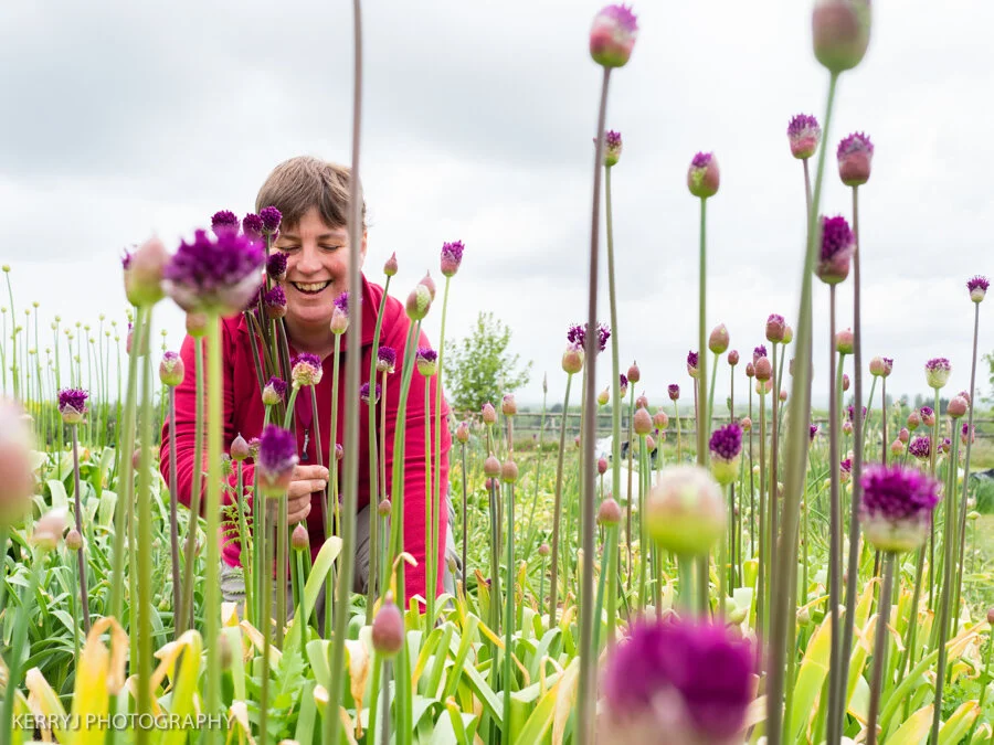 Cutting Bulbs and Tubers — The Business of selling flowers