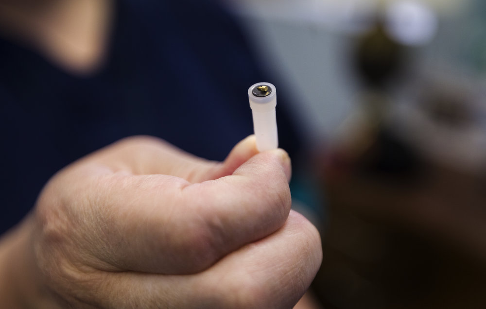  Dr. Katherine Pica displays a microscopic auricular needle for use in battlefield acupuncture therapy at the Tomah VA Facility in Tomah, Wisconsin, Monday, April 23, 2018. These single-use needles remain in particular areas of the ear for a few days