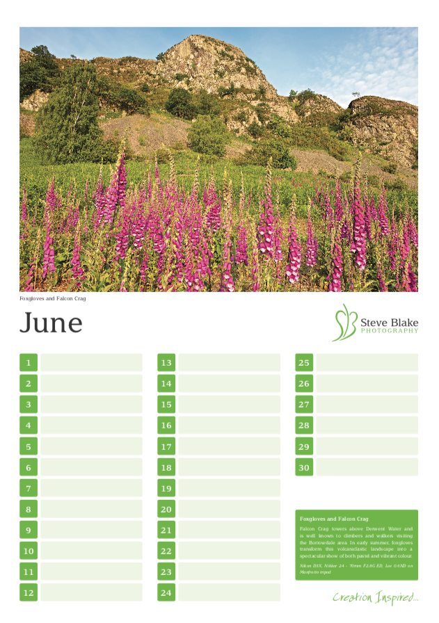 6 - June.png