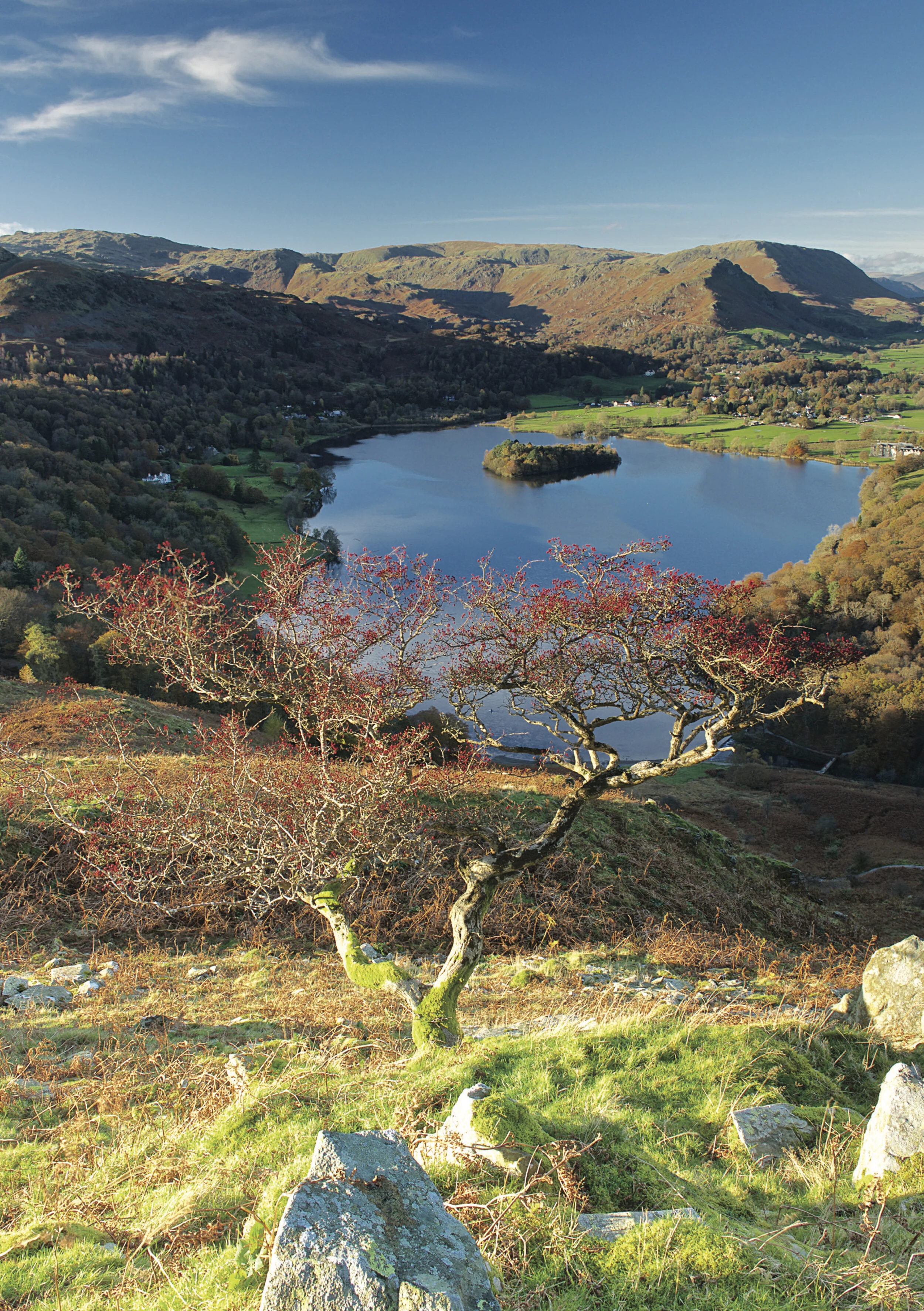 Grasmere from Loughrigg Terrace