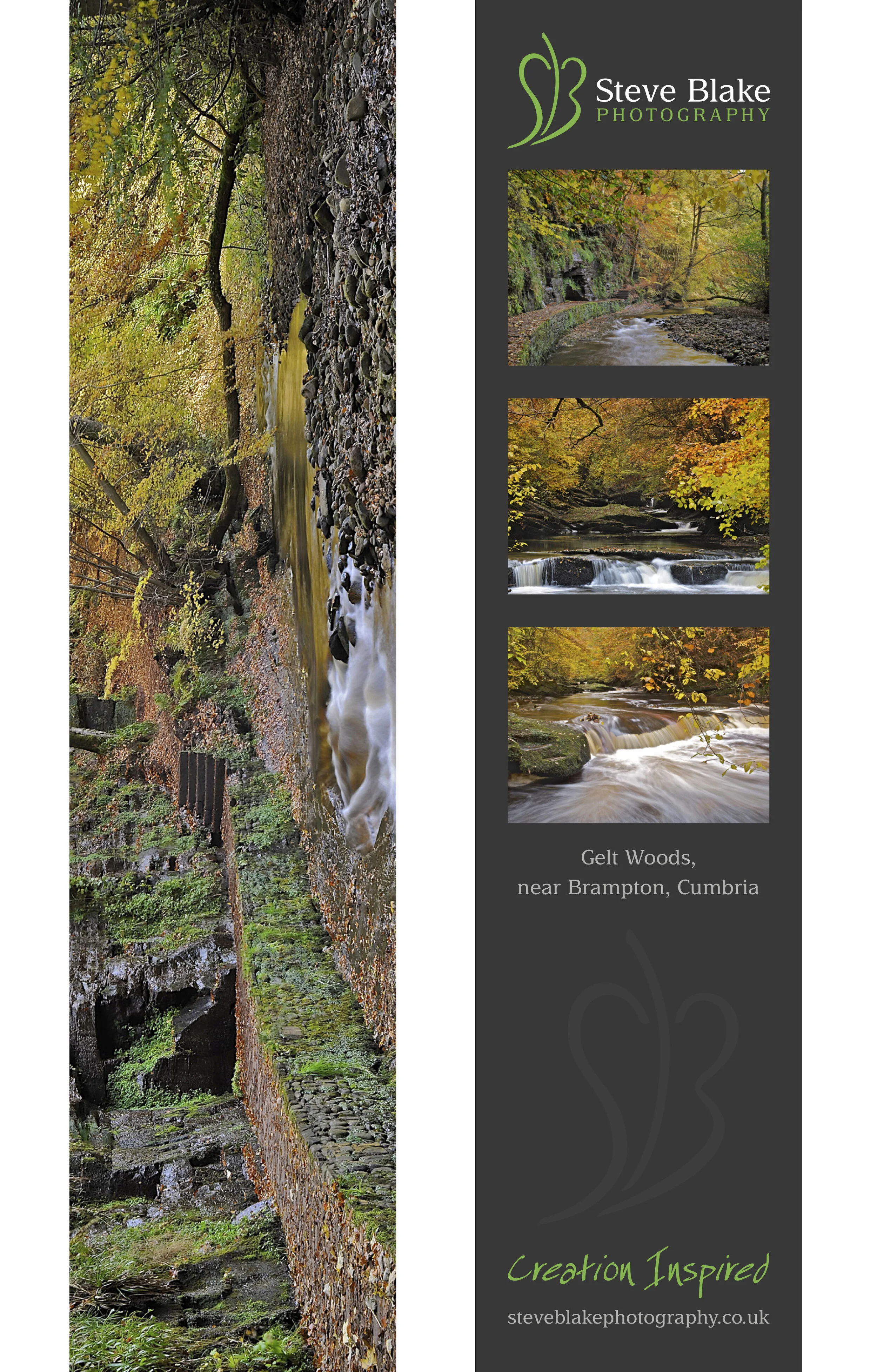 gelt-woods-brampton-cumbria.jpg