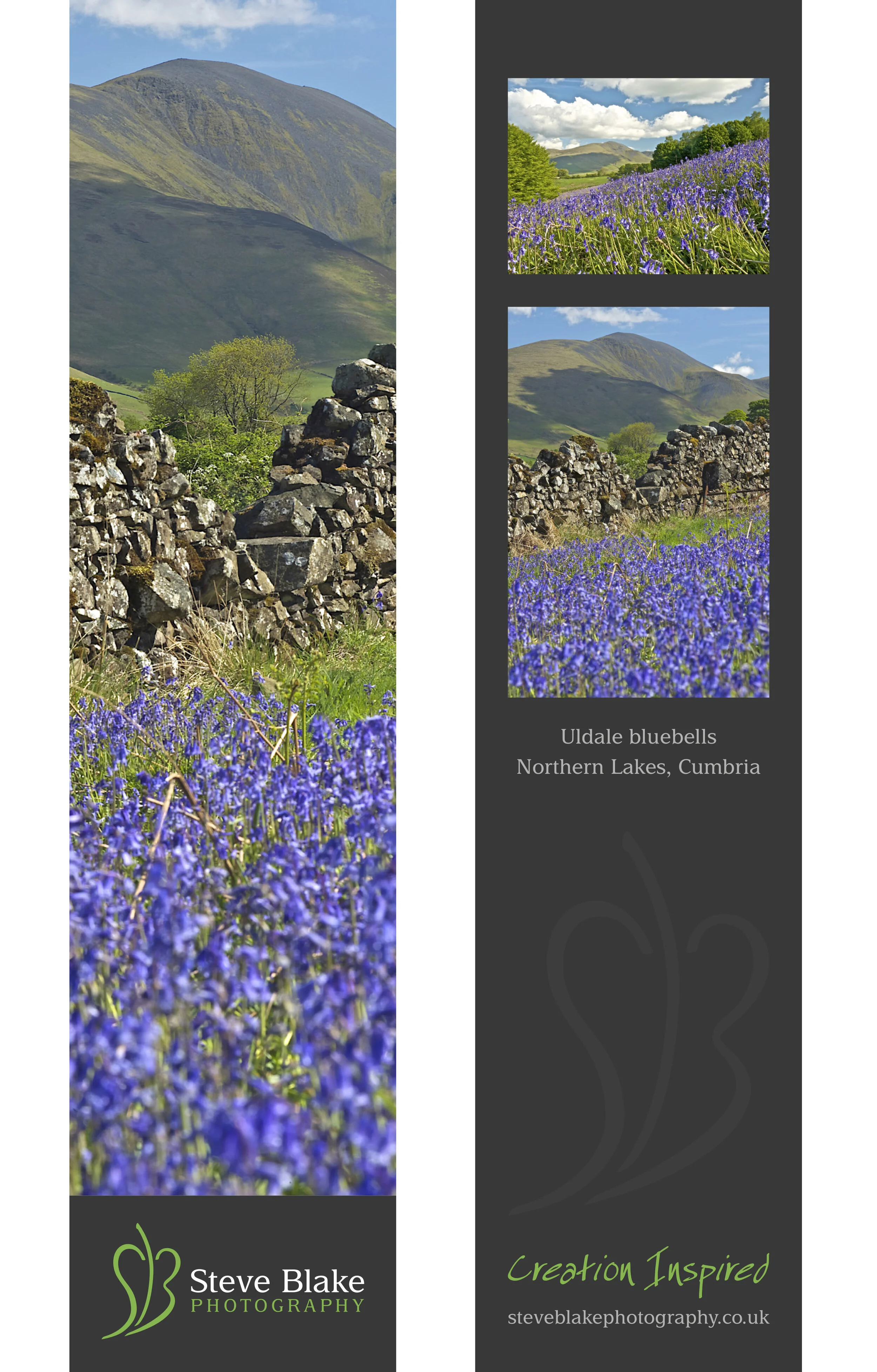 Skiddaw and Uldale Bluebells Bookmark