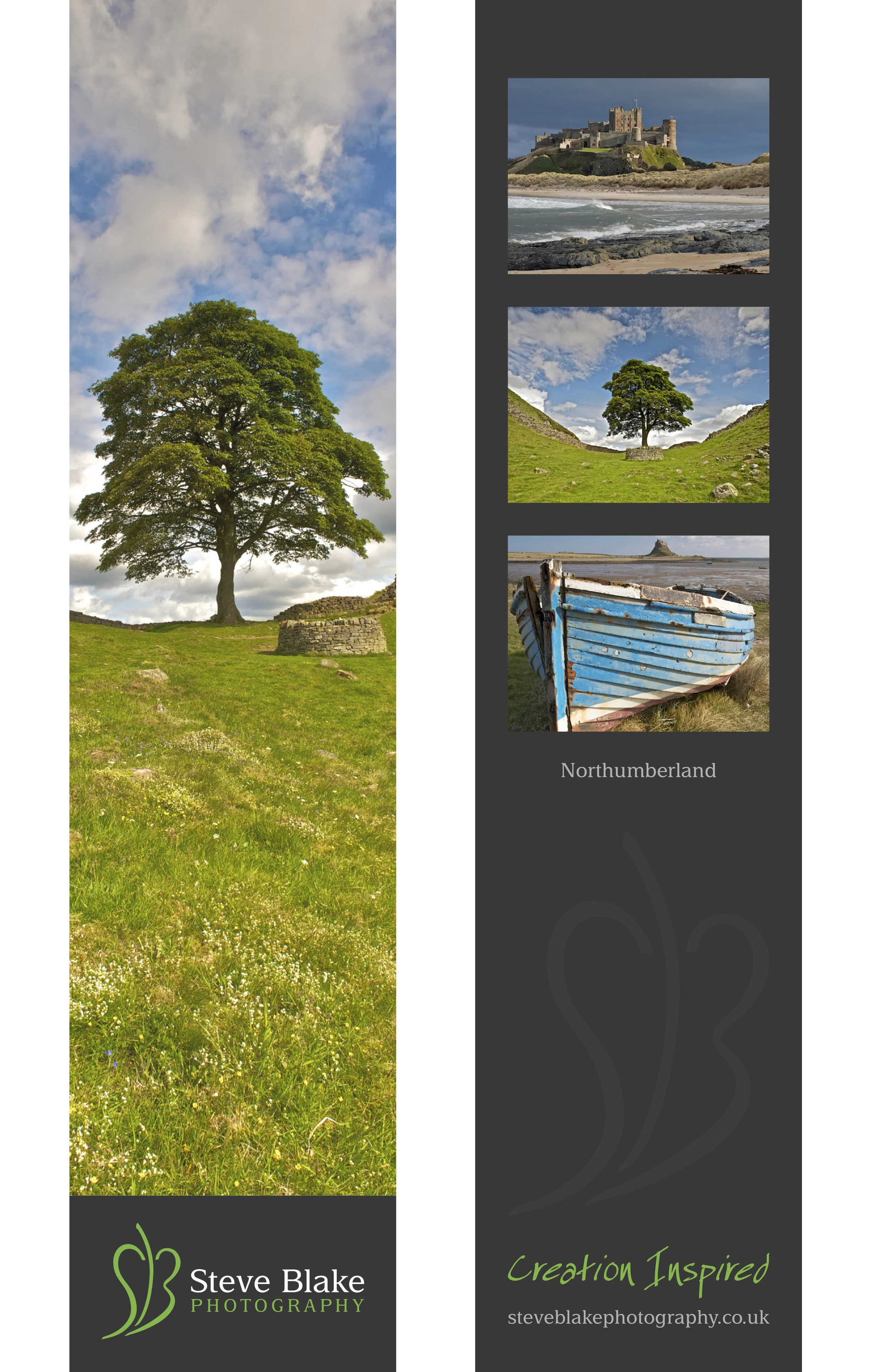 sycamore-gap-northumberland.jpg