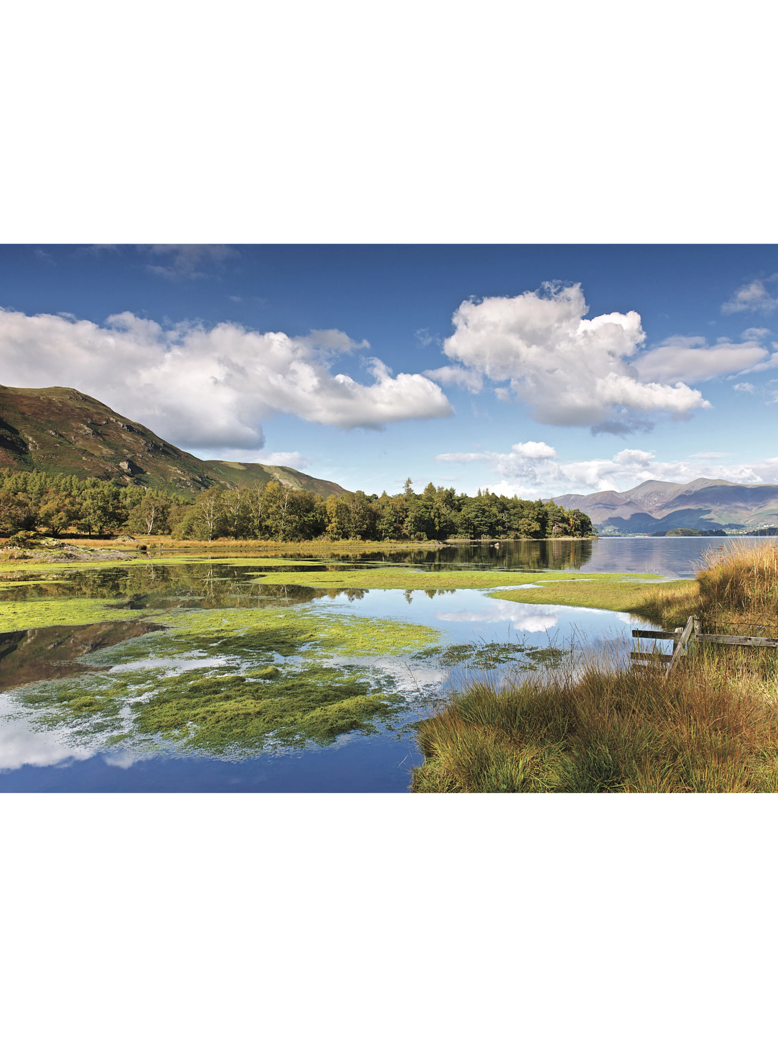 Derwent Water from Myrtle Bay, Borrowdale