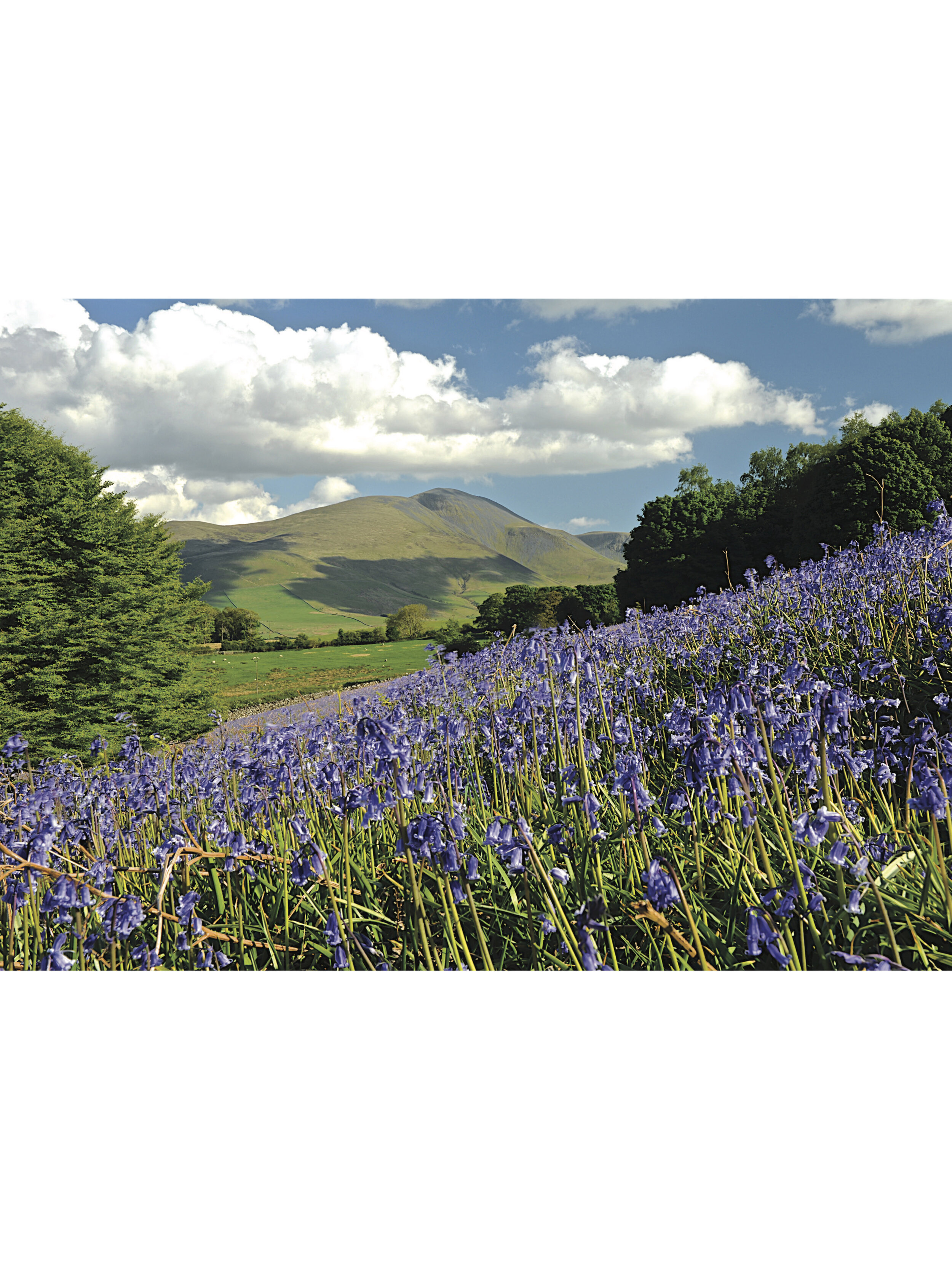 Skiddaw and Ullock Pike - Front (1).jpg
