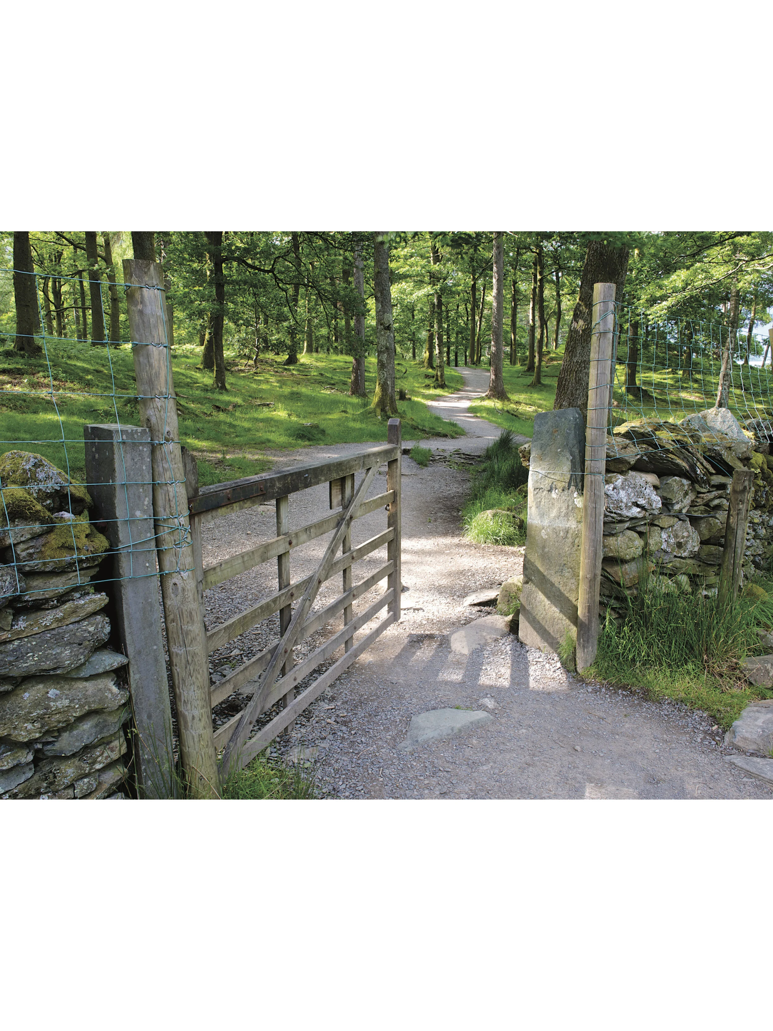 Borrowdale Gate, Derwent Water