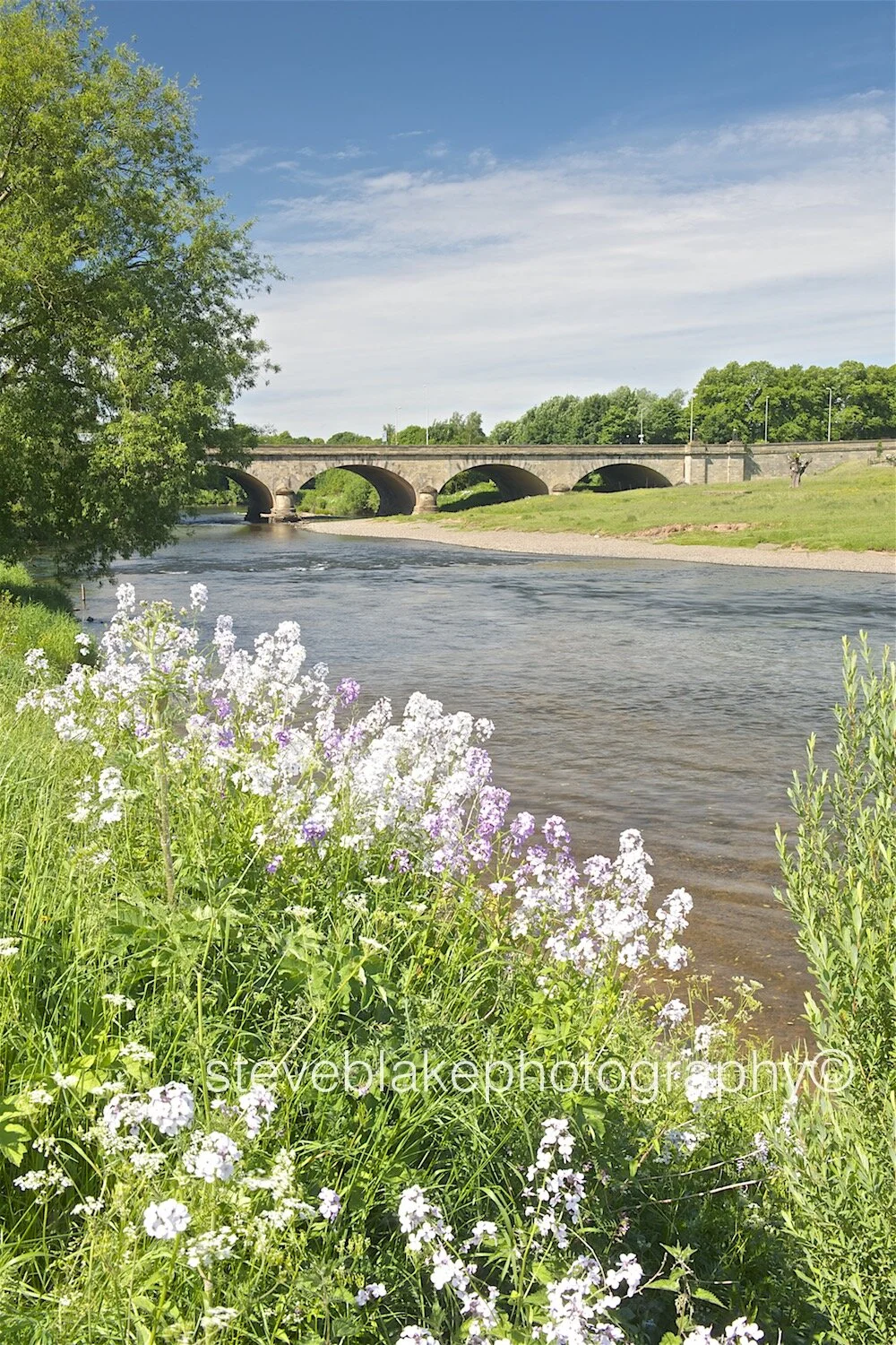 Eden Bridge in summer, Carlisle
