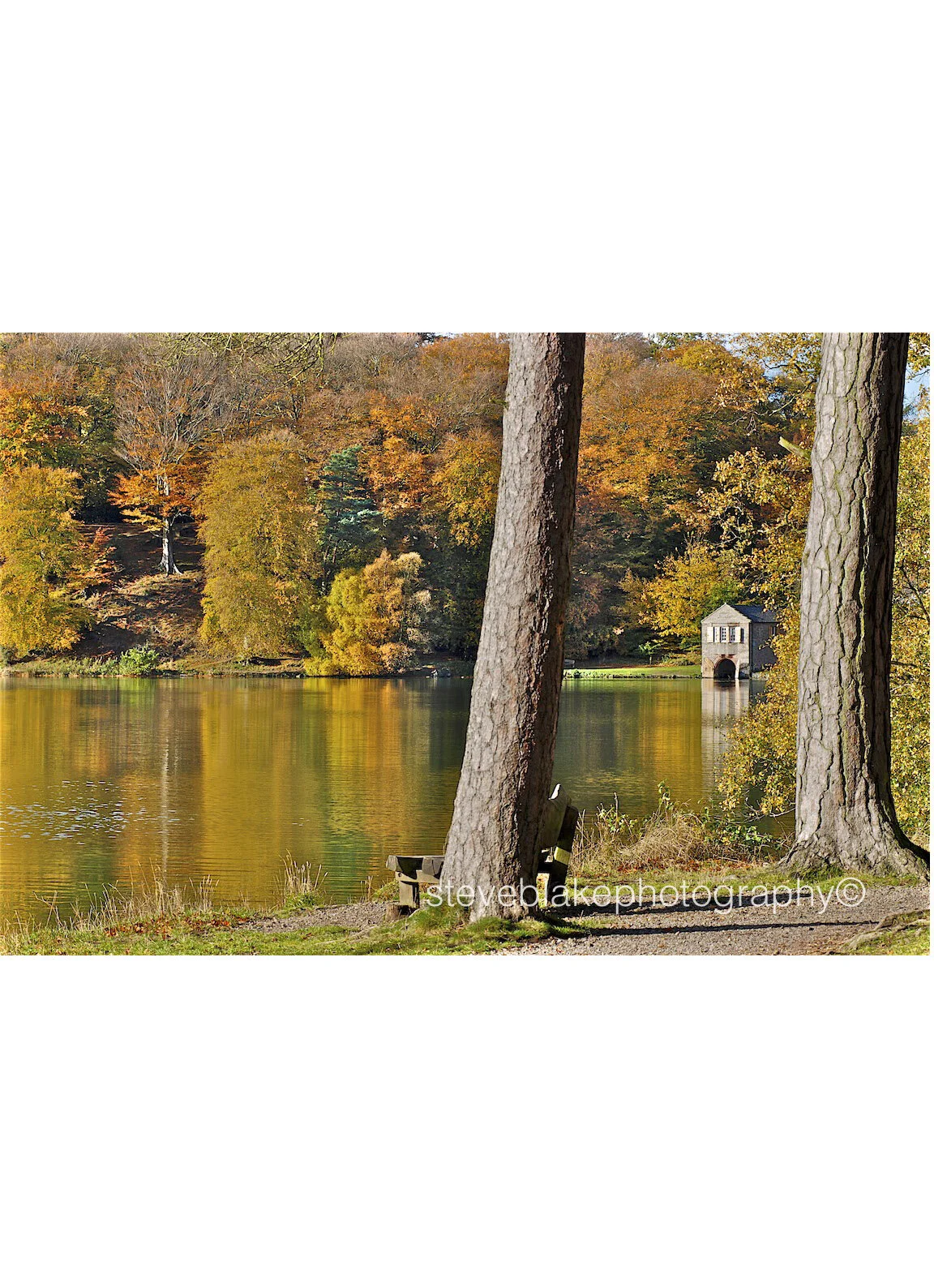 Betweeen the trees, The Alex Boathouse, Talkin Tarn, Brampton