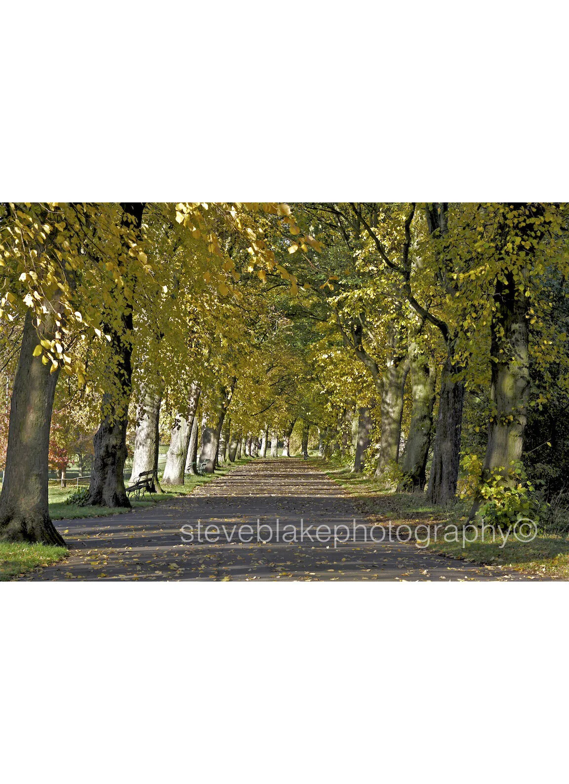 Lord Mayors Walk, Bitts Park, Carlisle