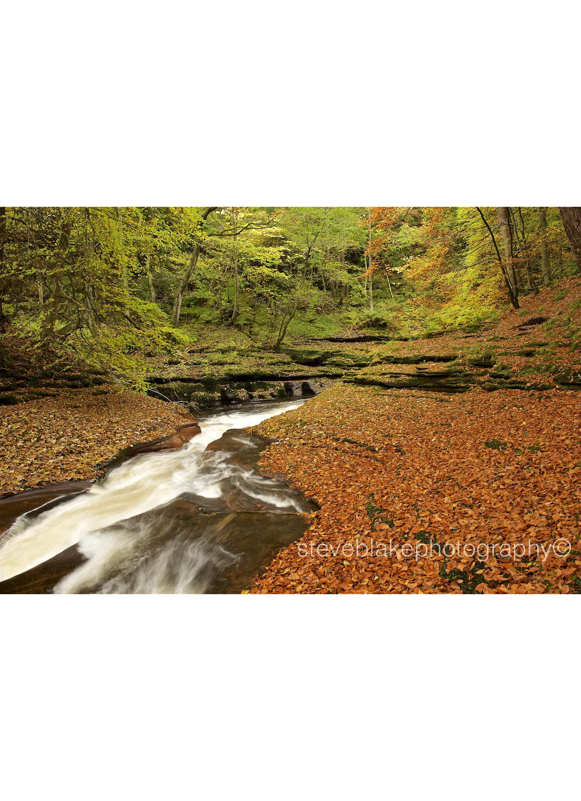 River Gelt, Gelt Woods, Brampton