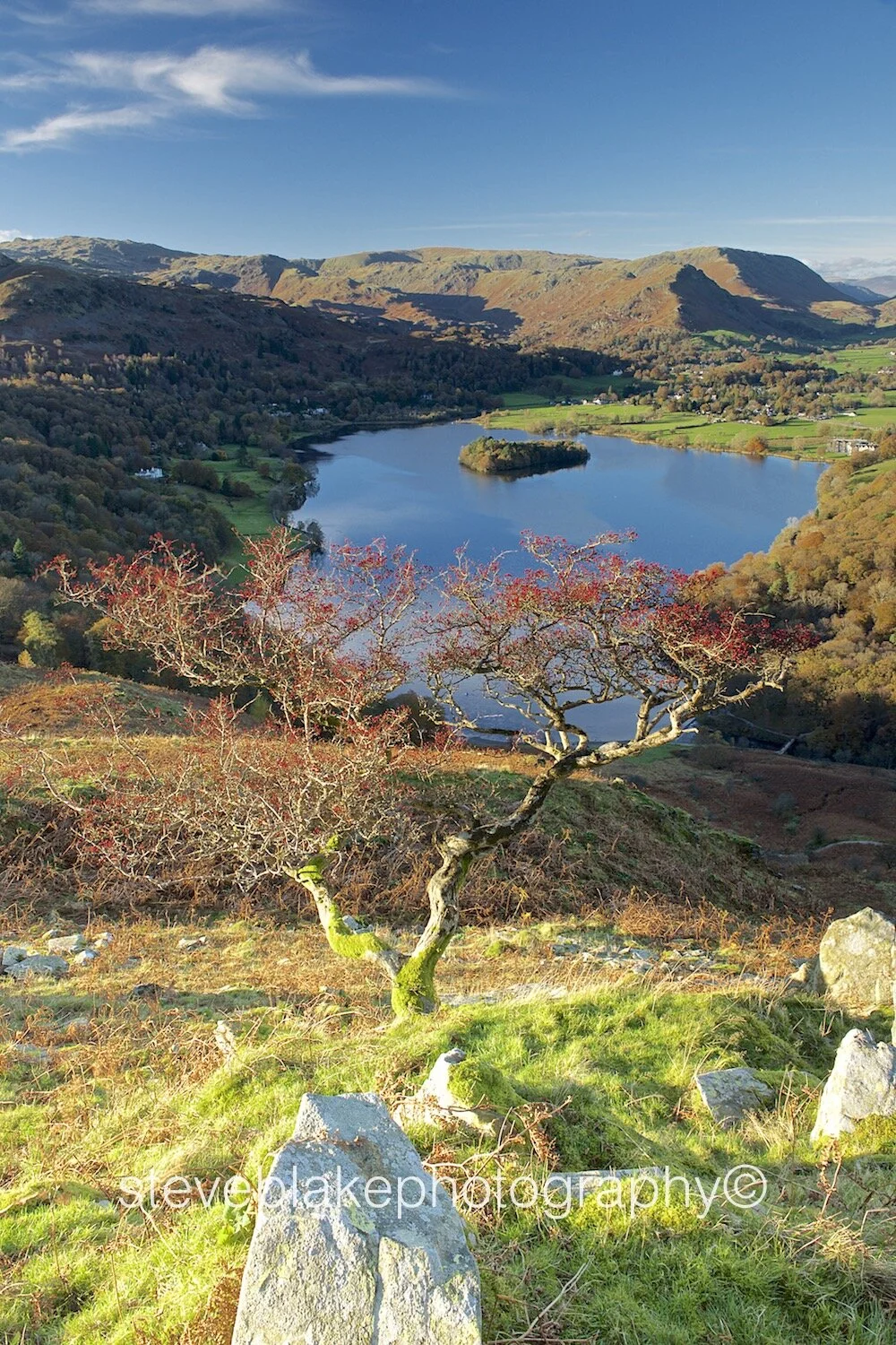 Grasmere from Loughrigg Terrace