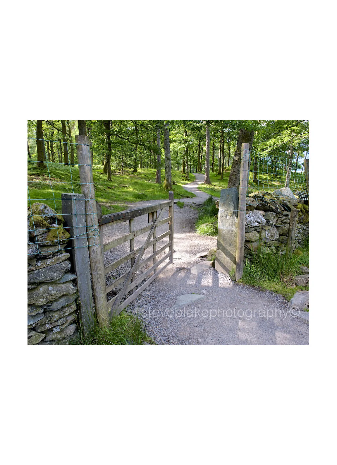 Invitation, Borrowdale Gate, Myrtle Bay..jpg