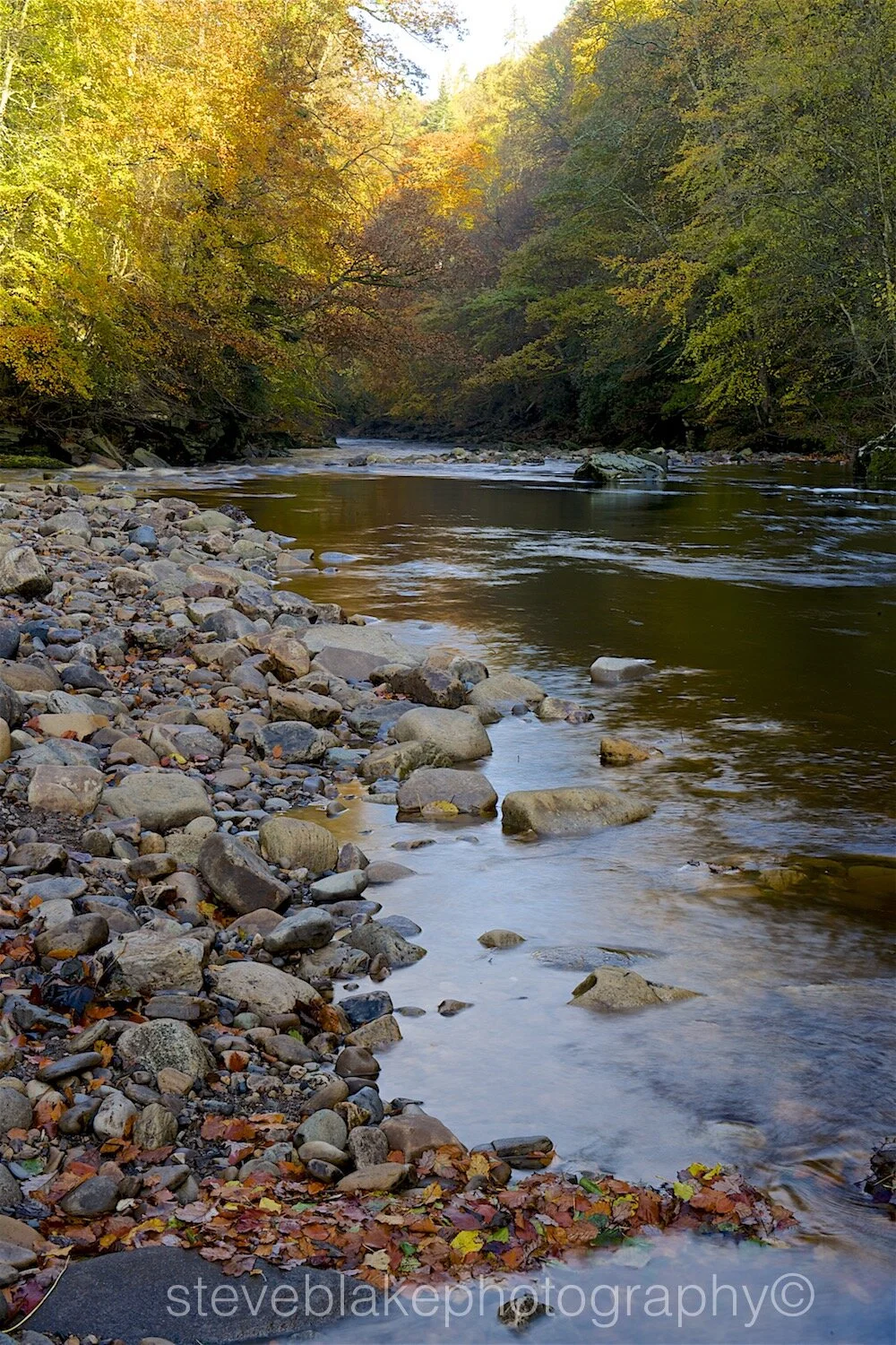 River Allen, Allen Banks, Northumberland.jpg