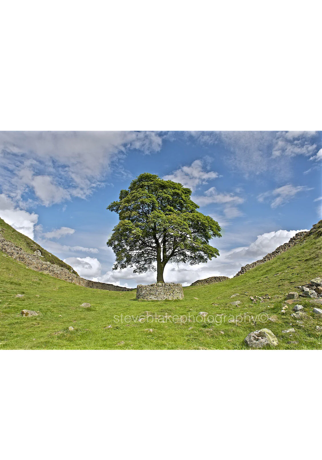 Sycamore Gap - Hadrian's Wall, Northumberland.jpg