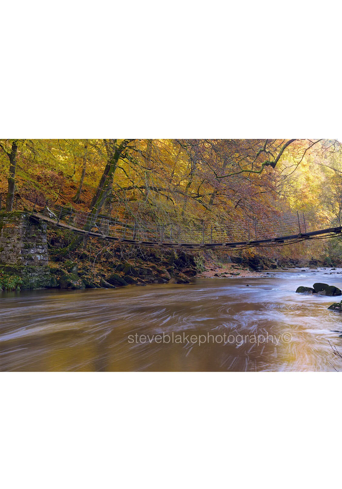 The old bridge, Allen Banks, Northumberland.jpg